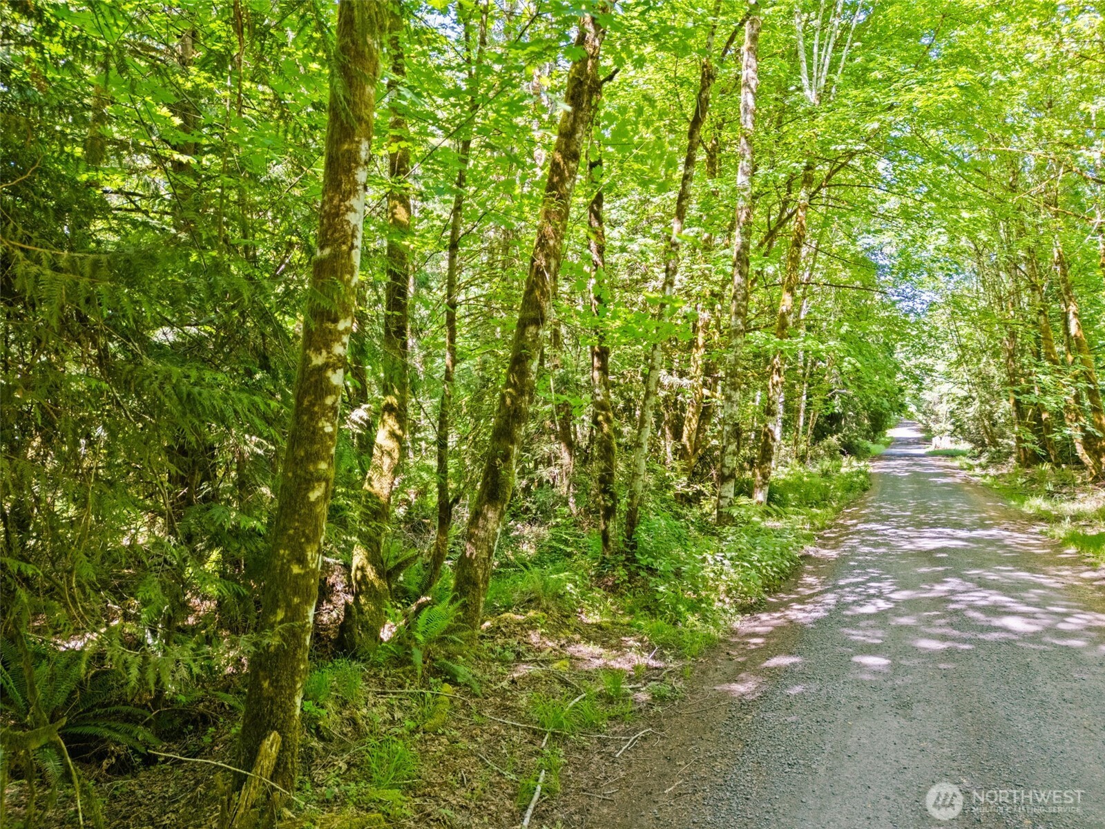 0 TR D E Jared Road , Shelton, WA 98584