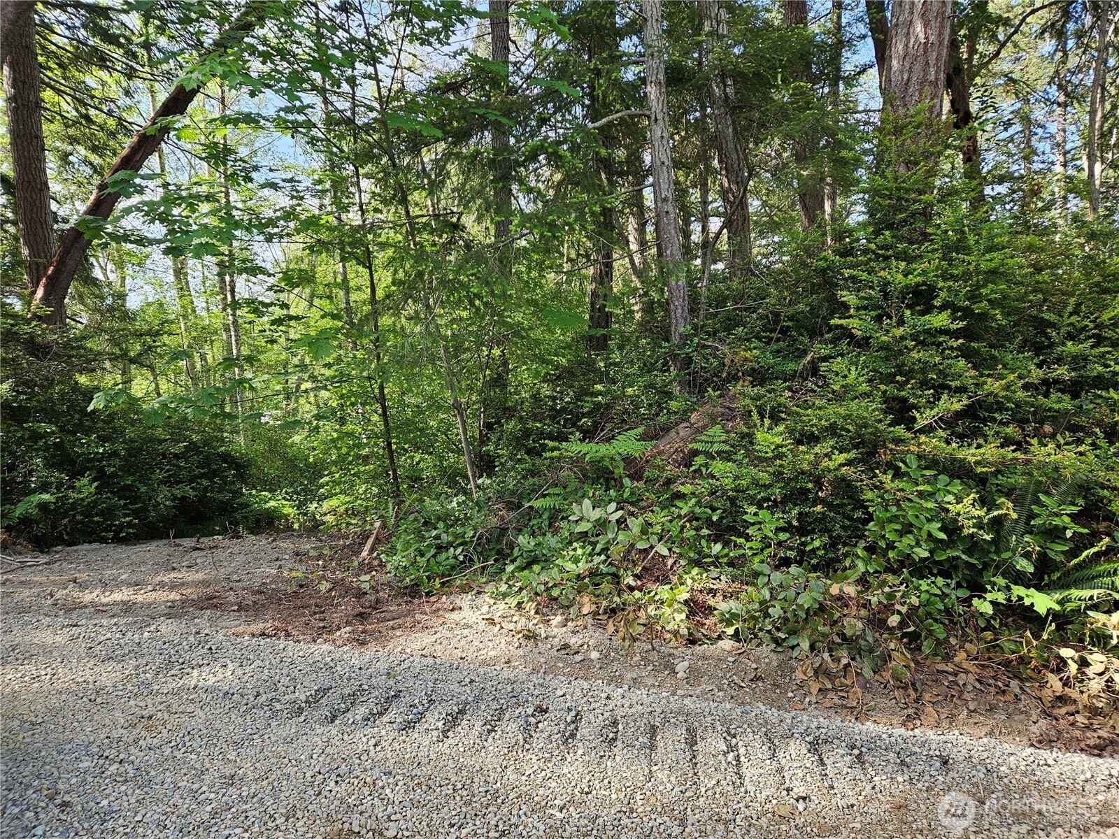 0 NKA Fox Road , Quilcene, WA 98376