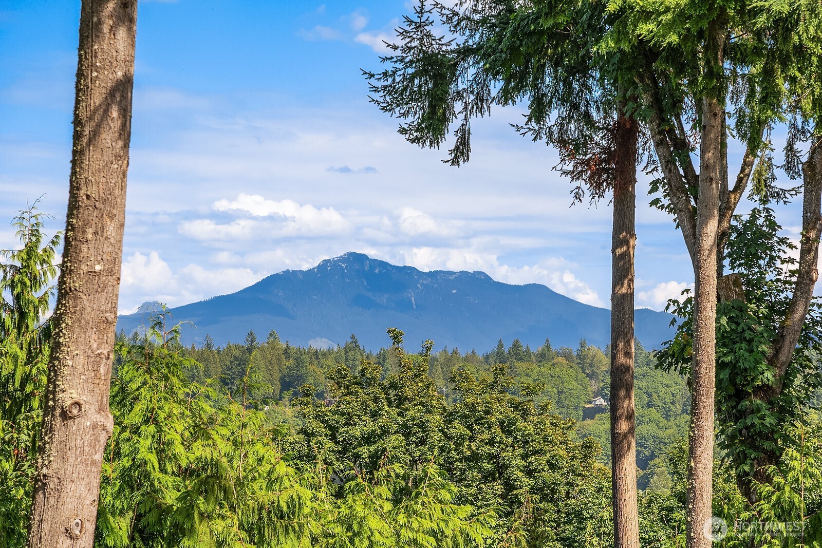 3931 115th Avenue SE, Snohomish, WA 98290