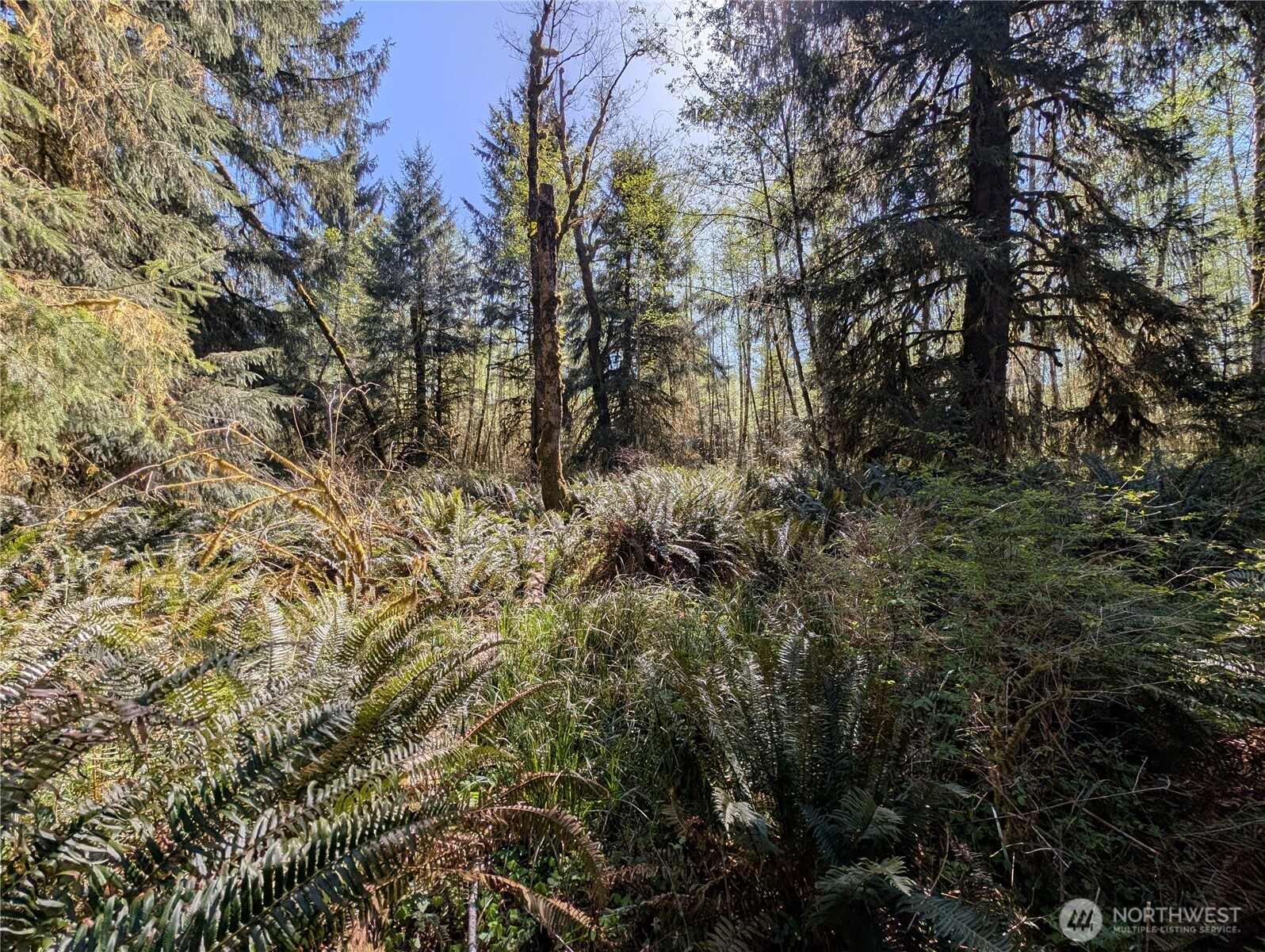 999 Hoh River Park Drive , Forks, WA 98331