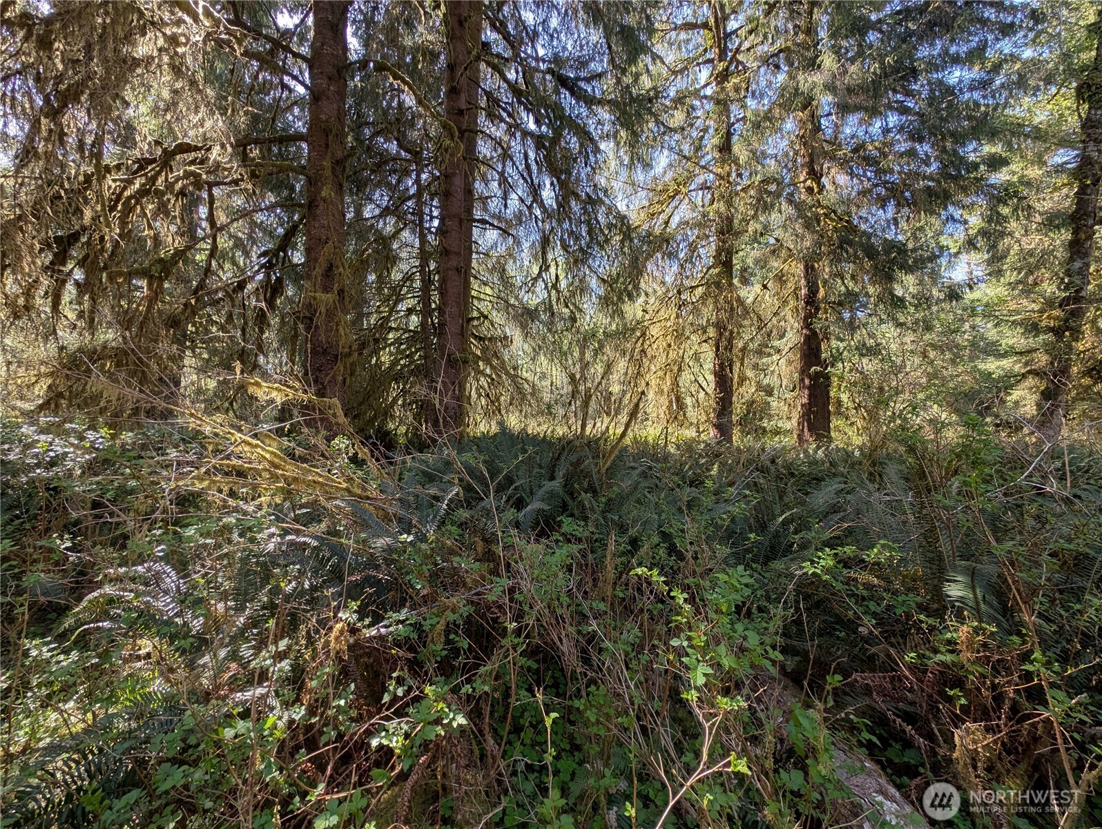 999 Hoh River Park Drive , Forks, WA 98331