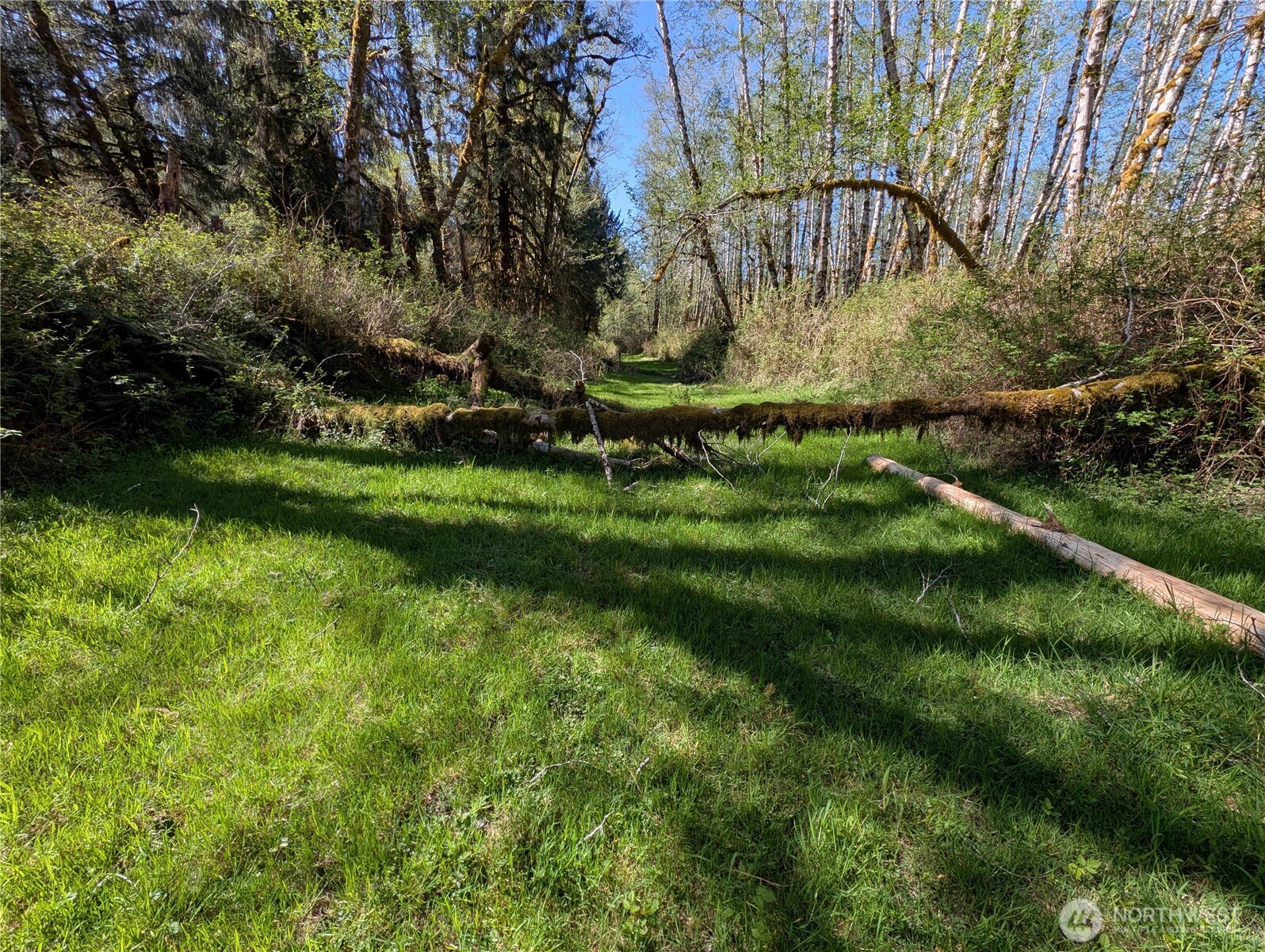 999 Hoh River Park Drive , Forks, WA 98331