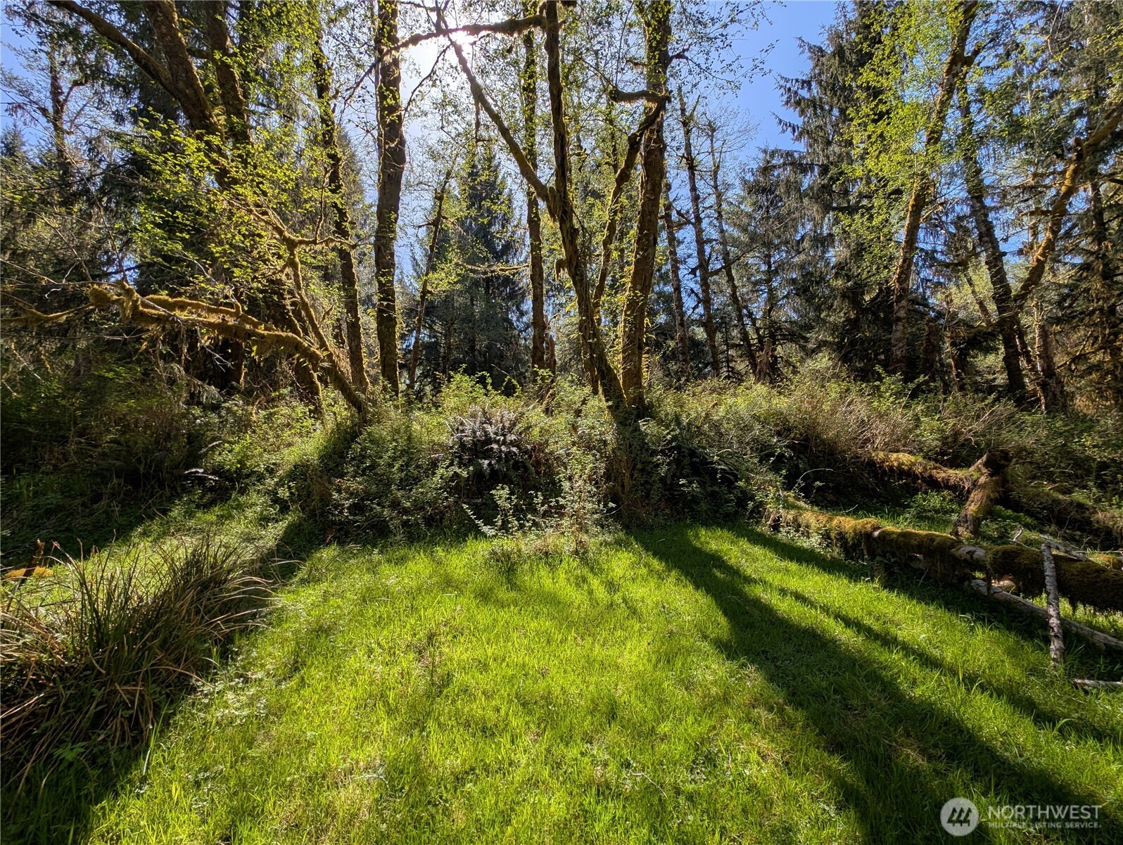999 Hoh River Park Drive , Forks, WA 98331