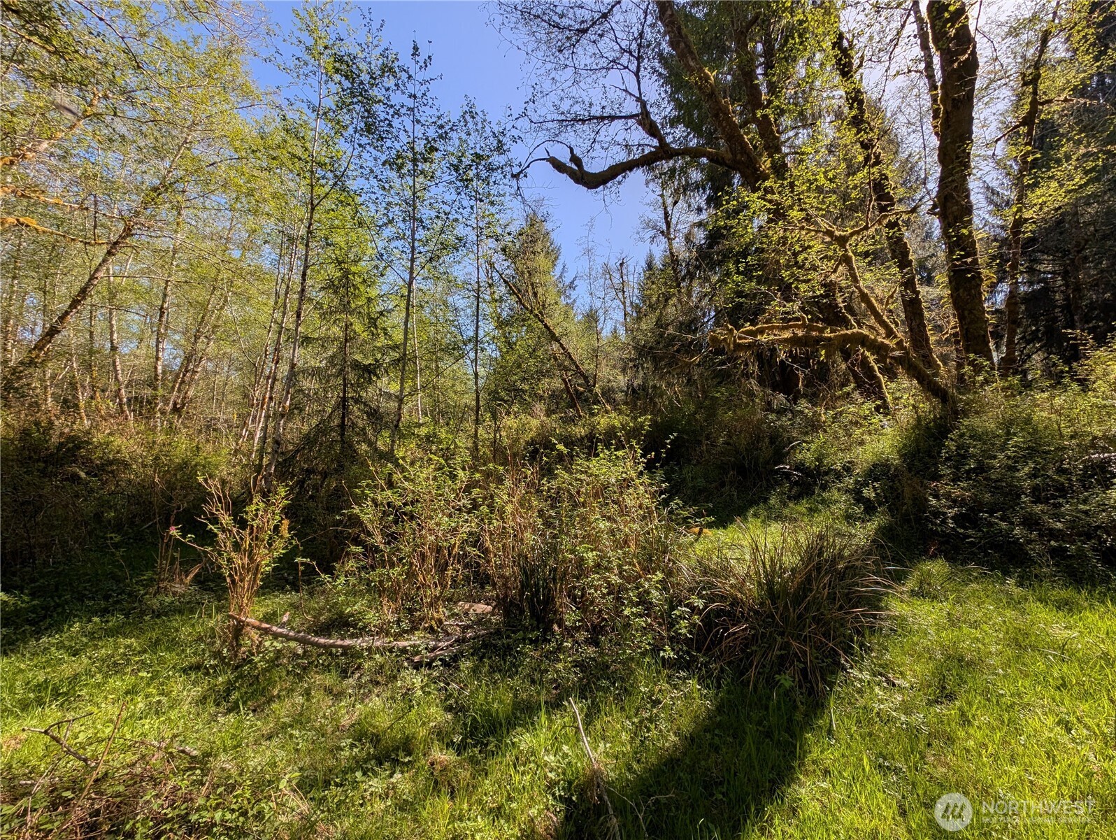 999 Hoh River Park Drive , Forks, WA 98331