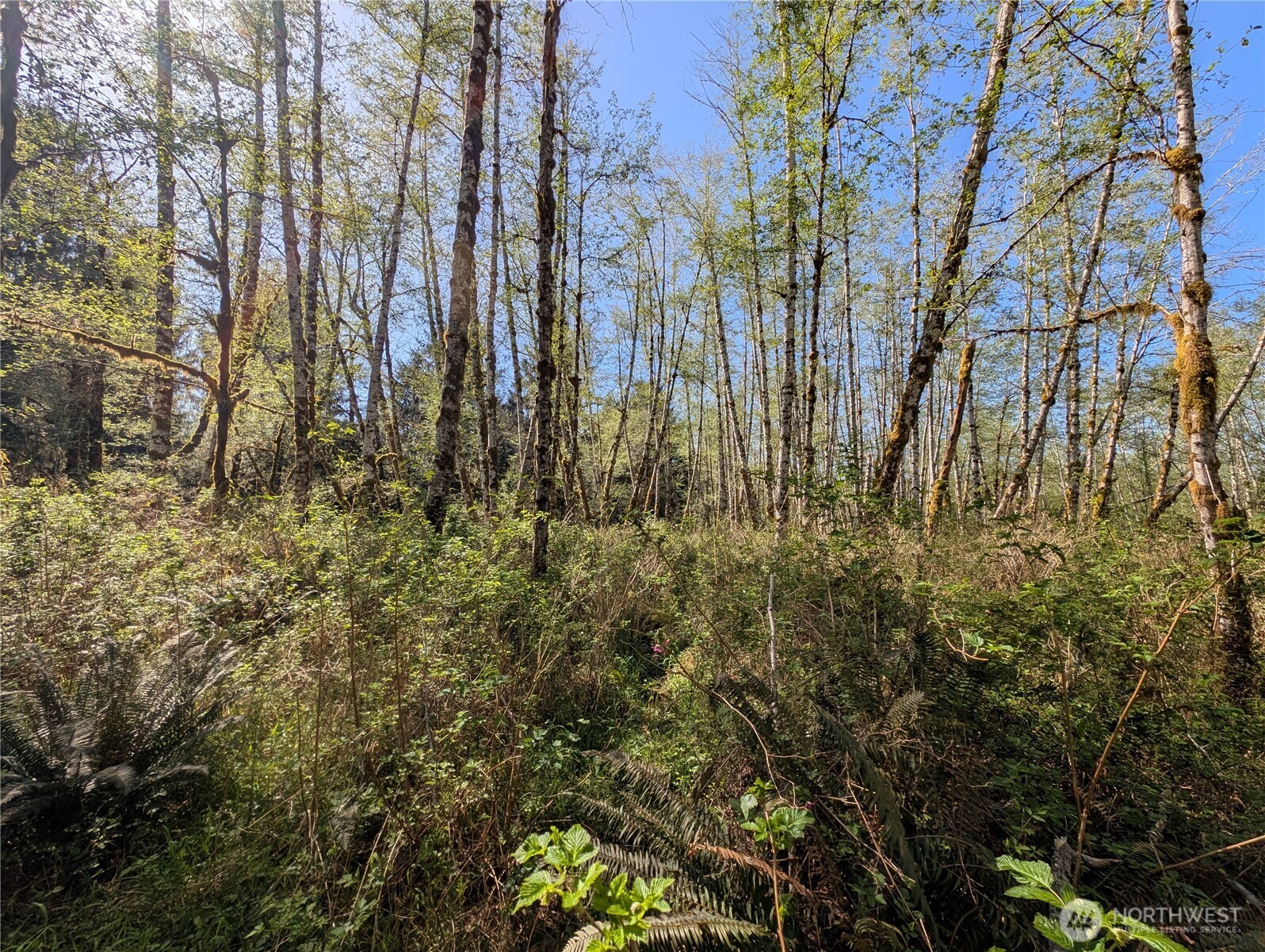 999 Hoh River Park Drive , Forks, WA 98331