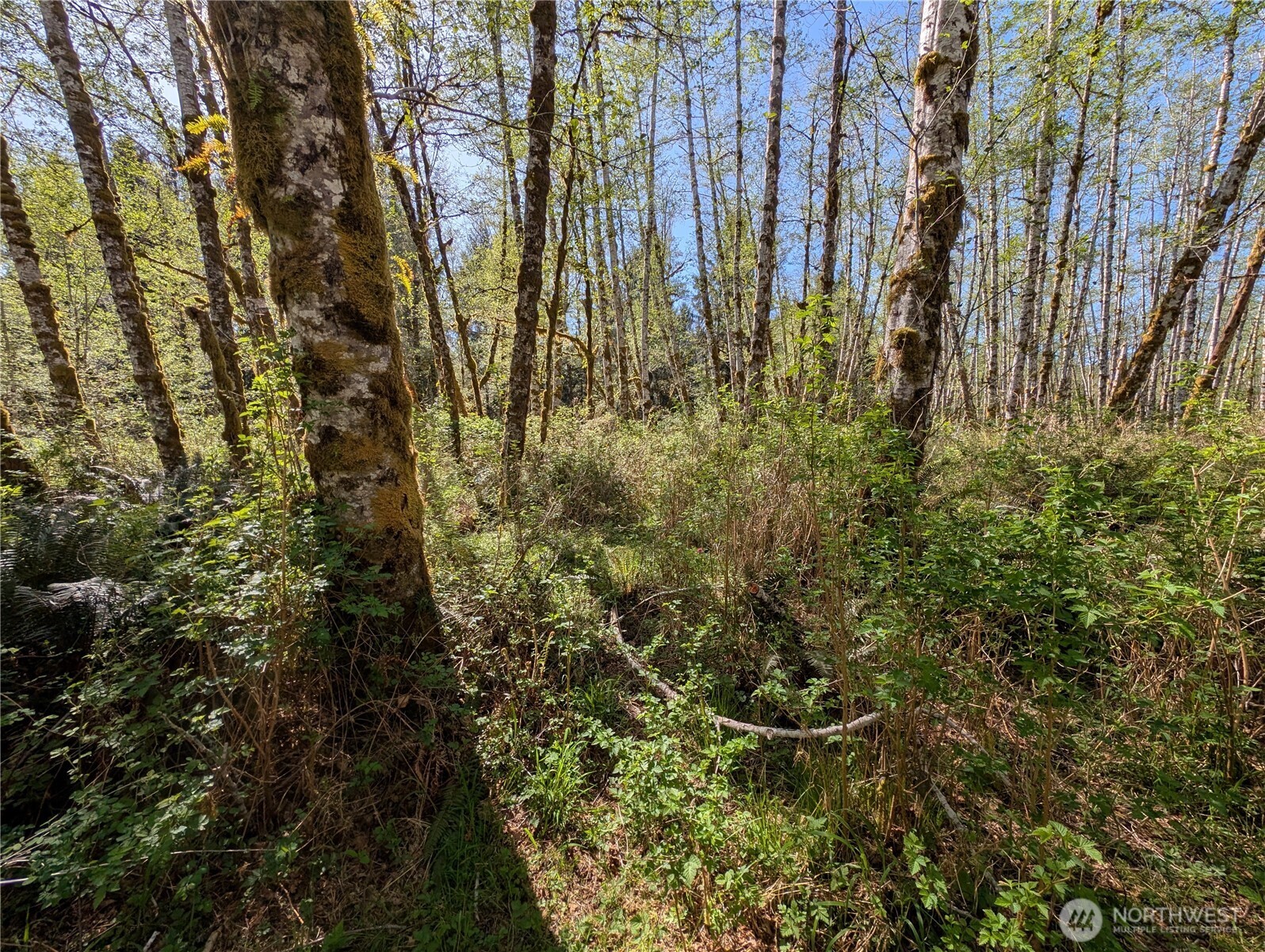 999 Hoh River Park Drive , Forks, WA 98331