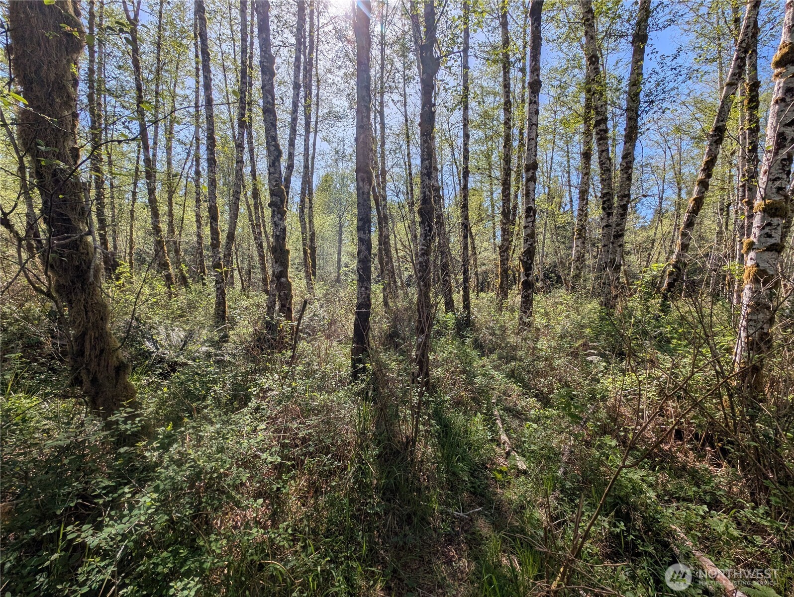 999 Hoh River Park Drive , Forks, WA 98331