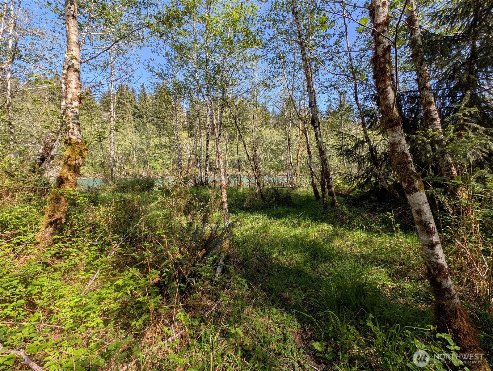 999 Hoh River Park Drive , Forks, WA 98331