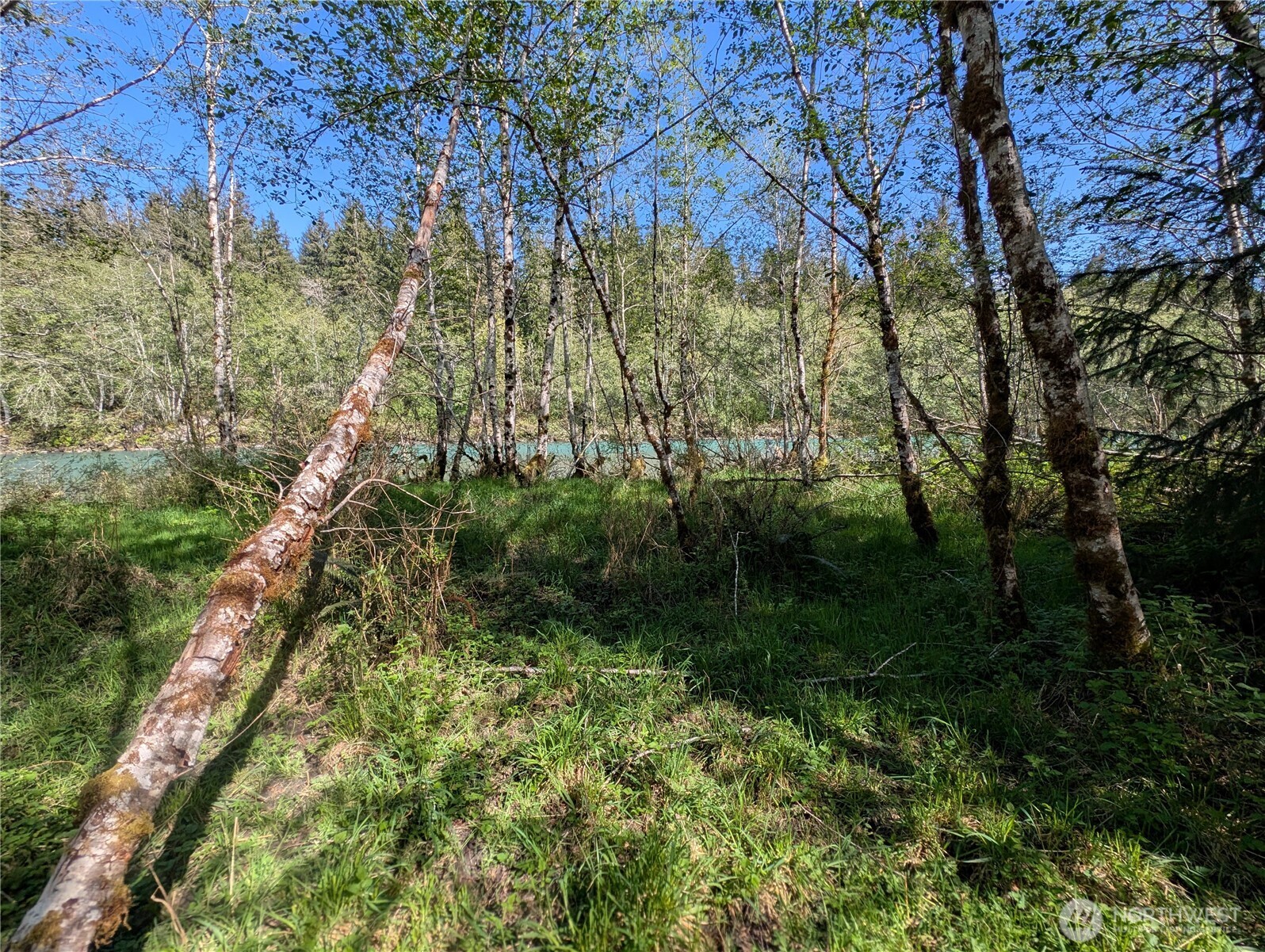 999 Hoh River Park Drive , Forks, WA 98331