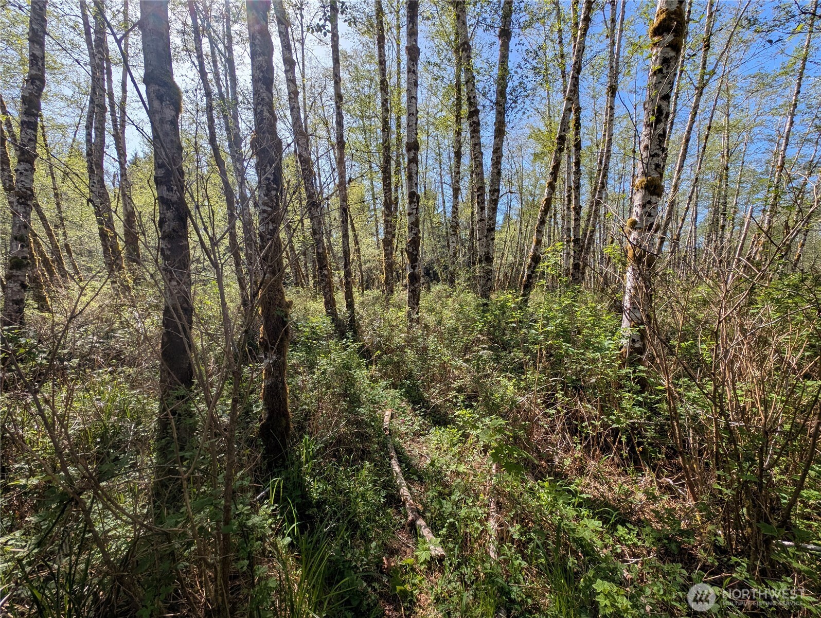 999 Hoh River Park Drive , Forks, WA 98331