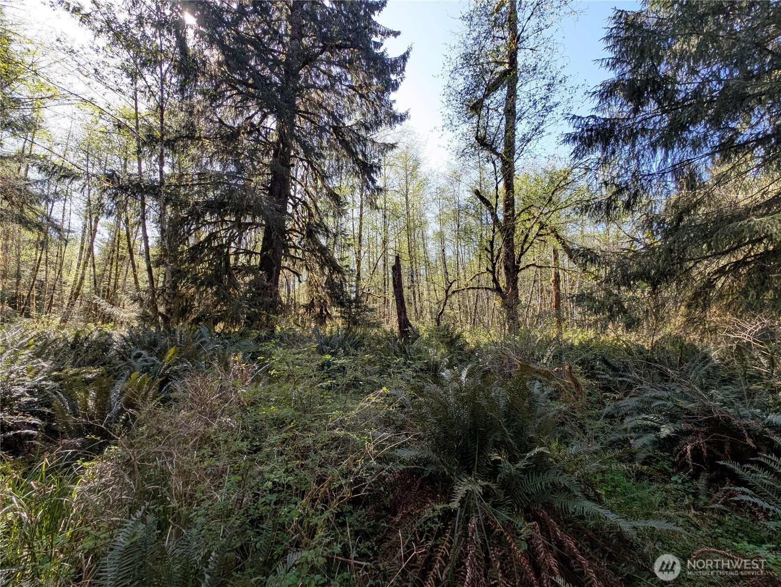 999 Hoh River Park Drive , Forks, WA 98331