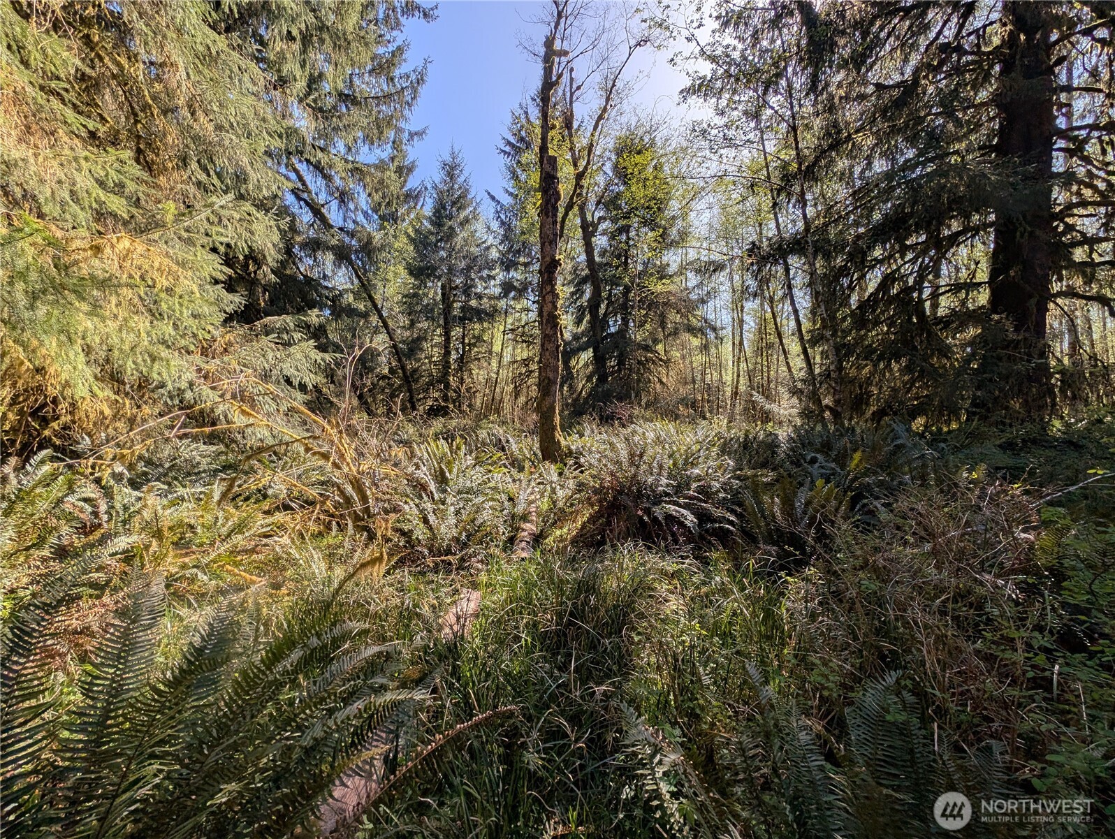 999 Hoh River Park Drive , Forks, WA 98331