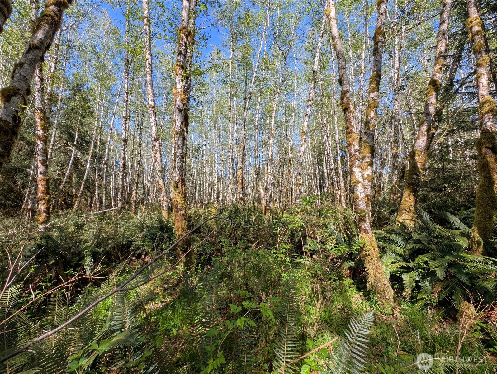 999 Hoh River Park Drive , Forks, WA 98331