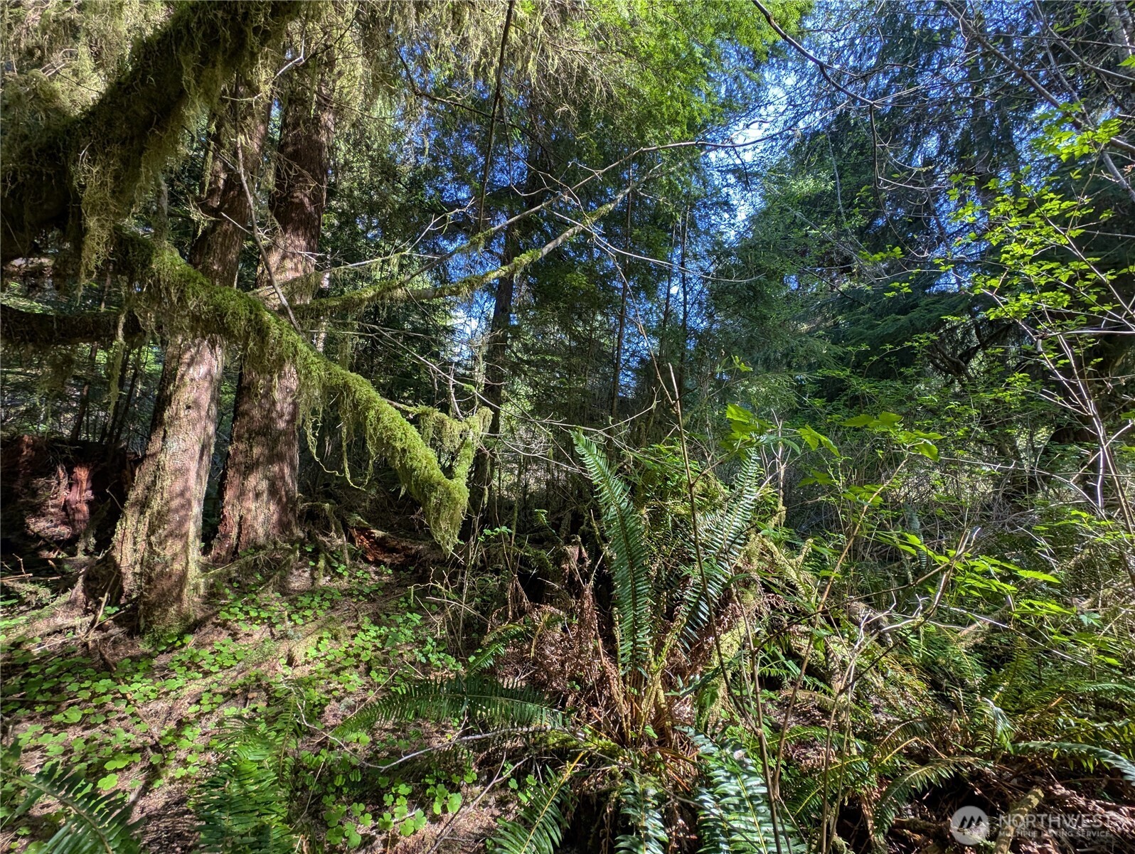 999 Hoh River Park Drive , Forks, WA 98331