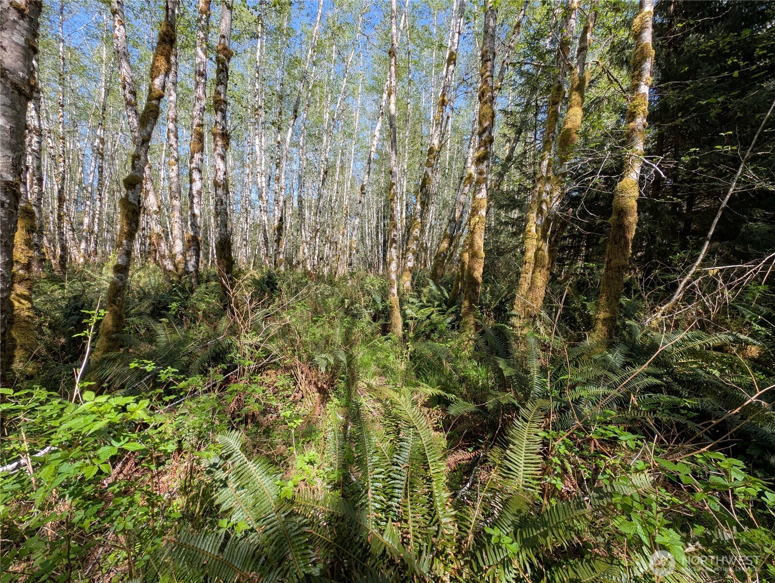 999 Hoh River Park Drive , Forks, WA 98331