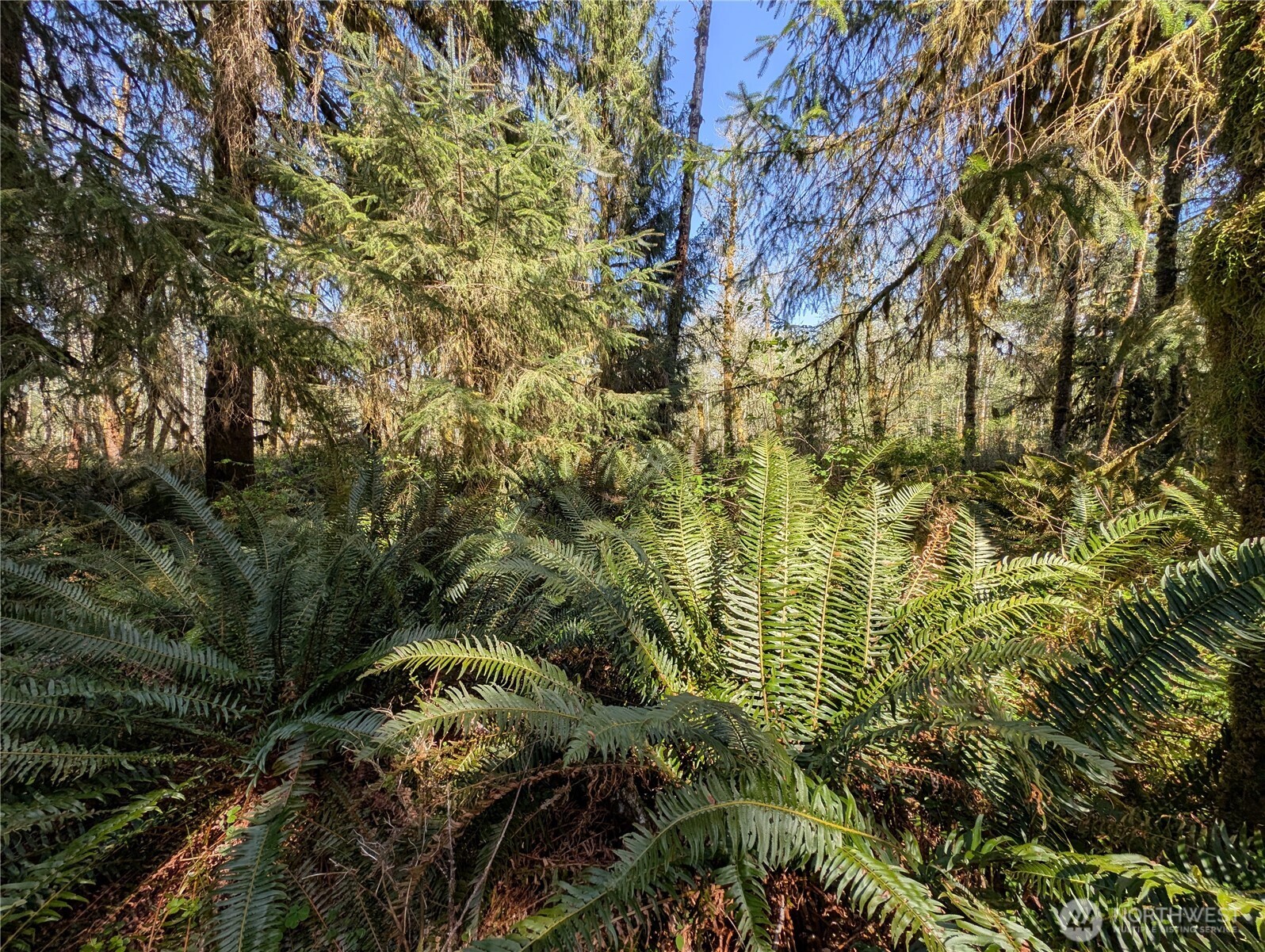 999 Hoh River Park Drive , Forks, WA 98331