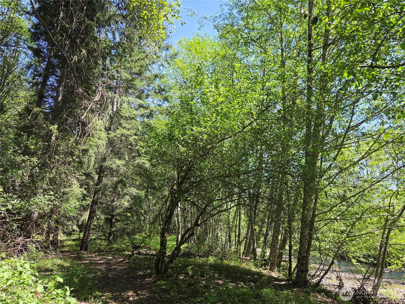 127 Campfire Lane , Packwood, WA 98361