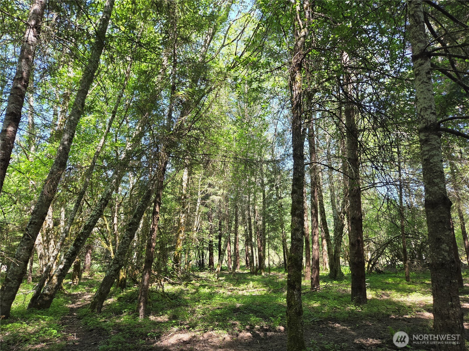 127 Campfire Lane , Packwood, WA 98361