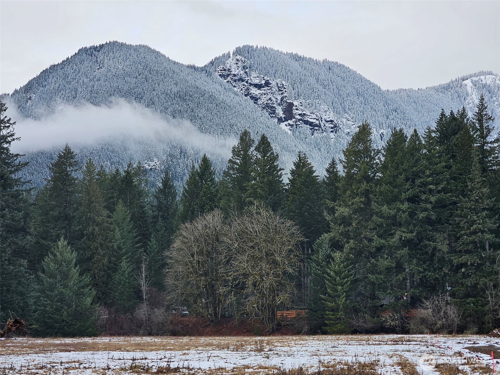 127 Campfire Lane , Packwood, WA 98361