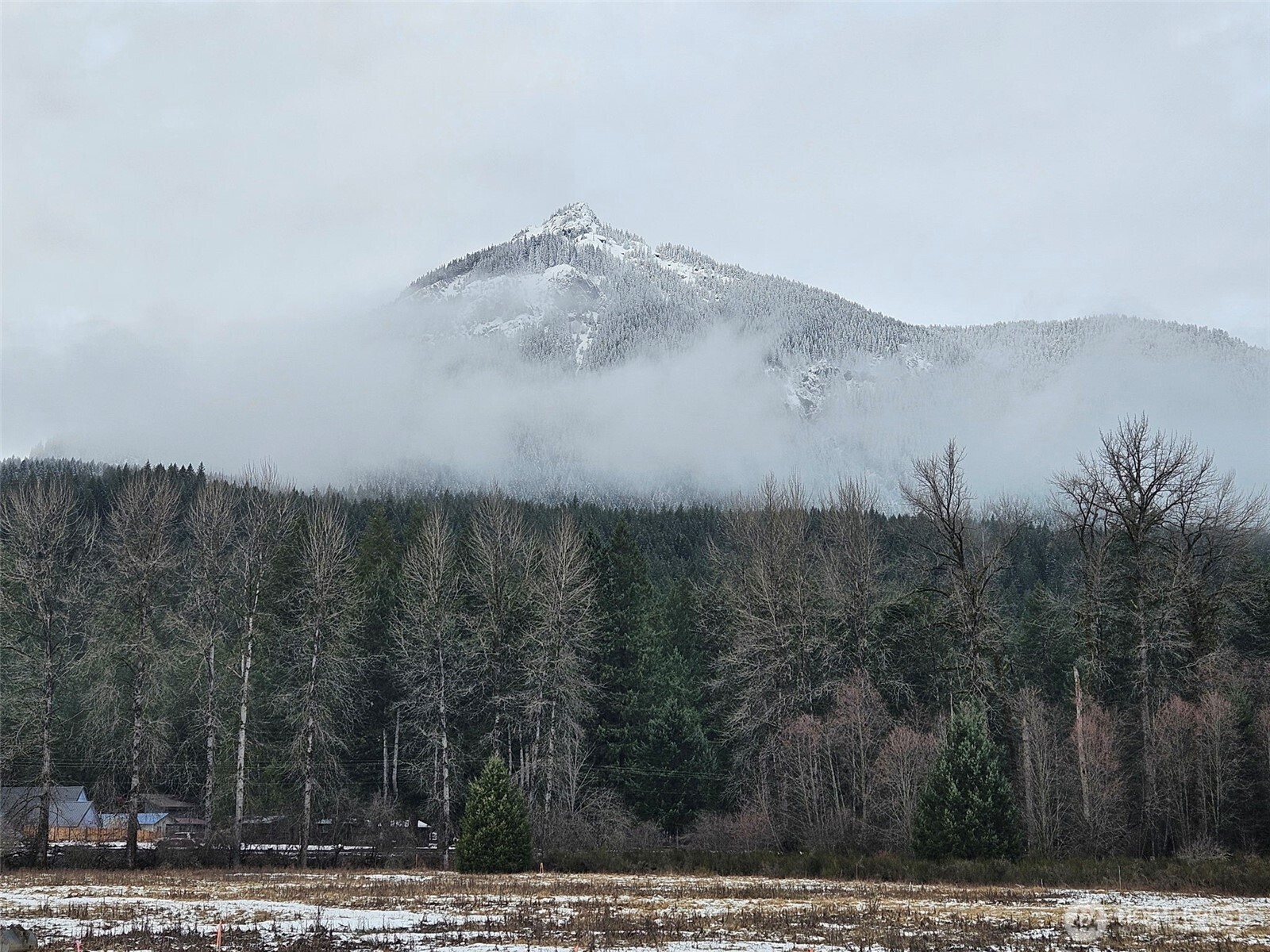 127 Campfire Lane , Packwood, WA 98361