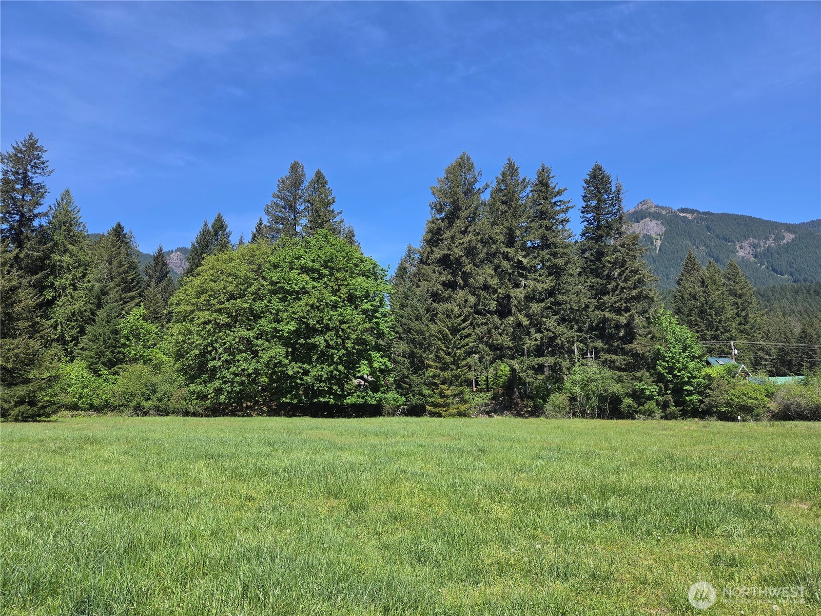 127 Campfire Lane , Packwood, WA 98361