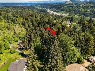 16217 232nd Street Ct E, Graham, WA 98338 - Photo 12