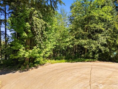 16217 232nd Street Ct E, Graham, WA 98338 - Photo 14