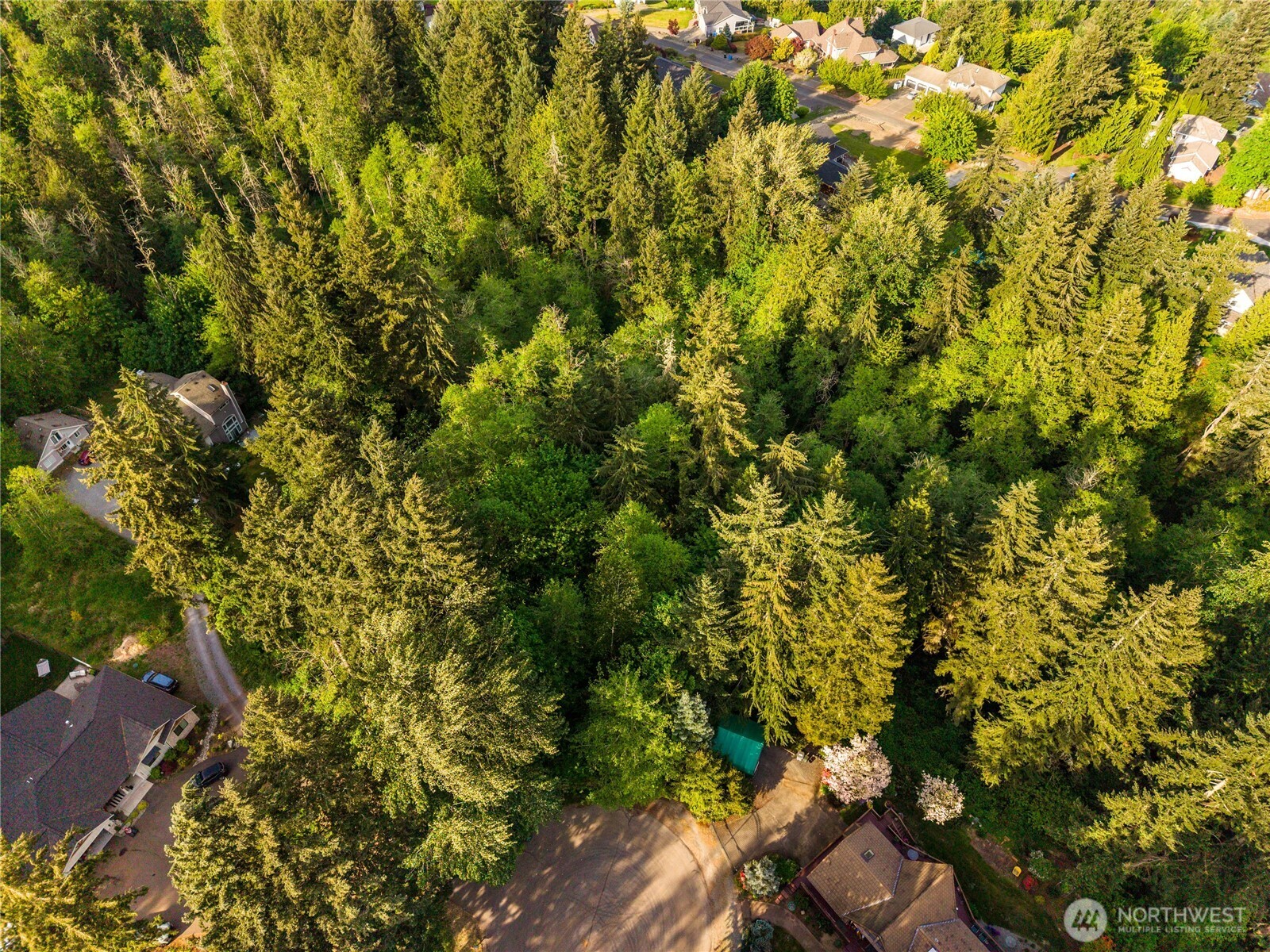 16217 232nd Street Ct E, Graham, WA 98338