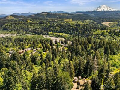 16217 232nd Street Ct E, Graham, WA 98338 - Photo 9