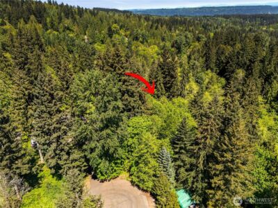 16217 232nd Street Ct E, Graham, WA 98338 - Photo 10