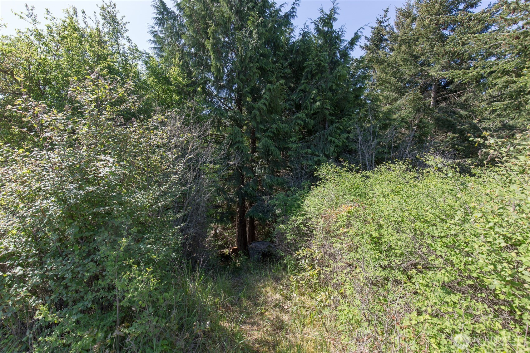 9999 Quiet Waters Lane , Sequim, WA 98382