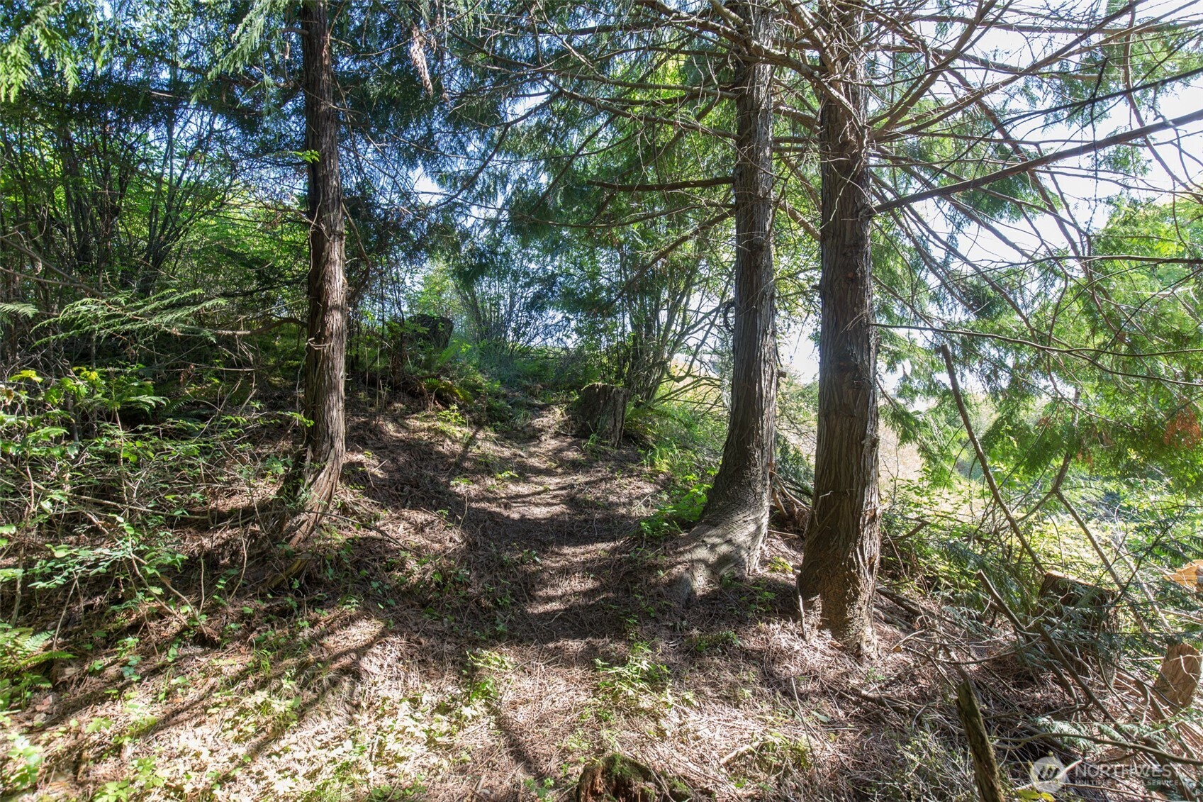 9999 Quiet Waters Lane , Sequim, WA 98382