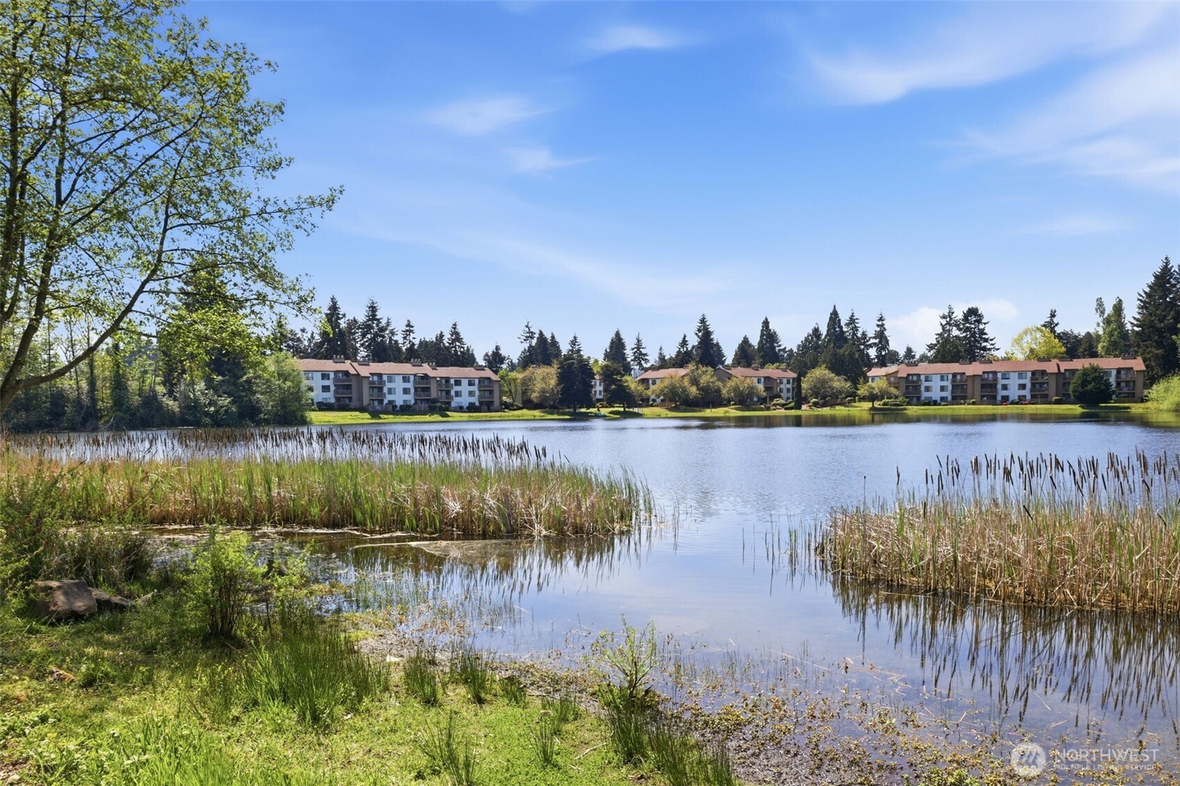 31003 14th Avenue S #E2, Federal Way, WA 98003