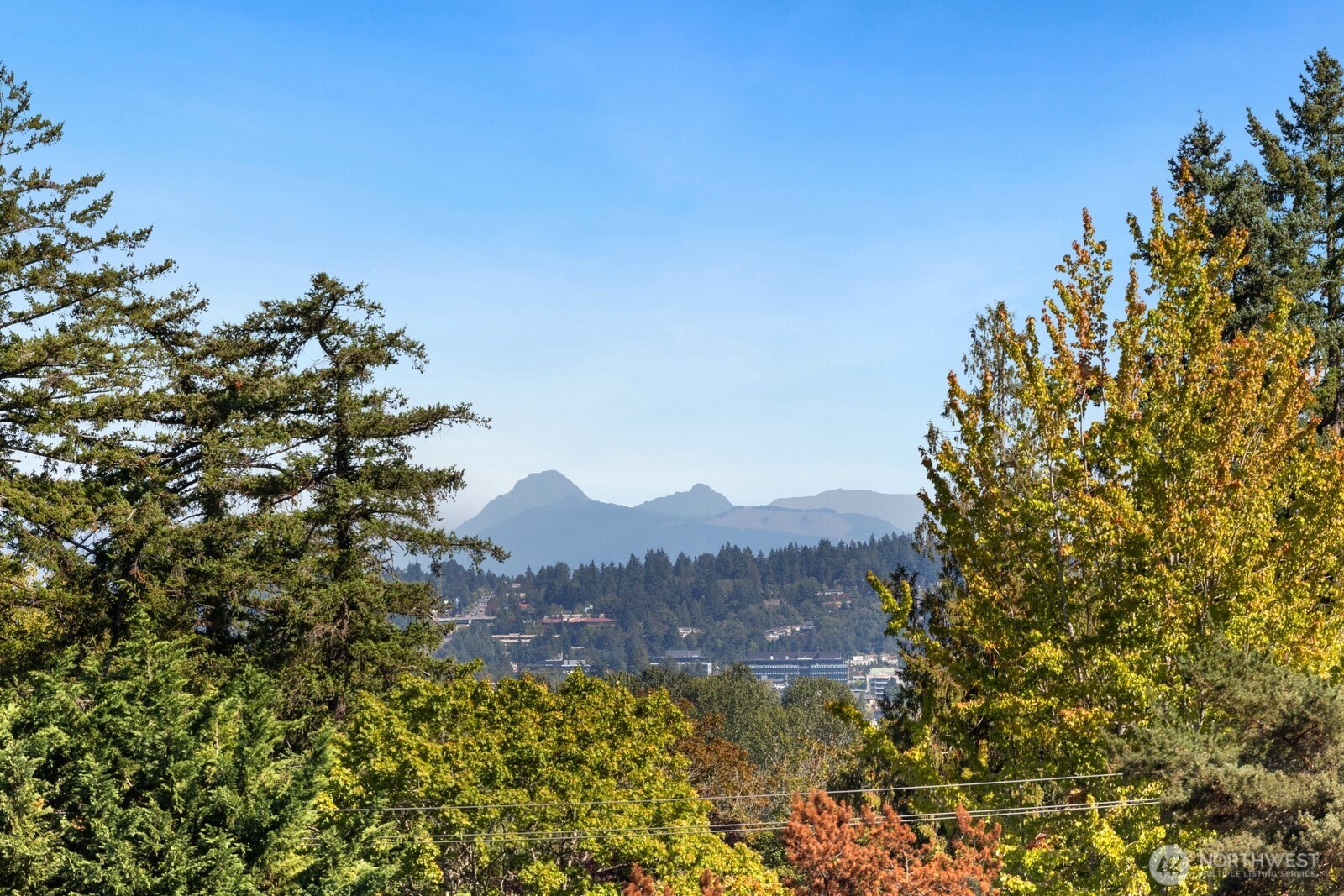6652 Parkpoint Way NE #D-311, Seattle, WA 98115-7847