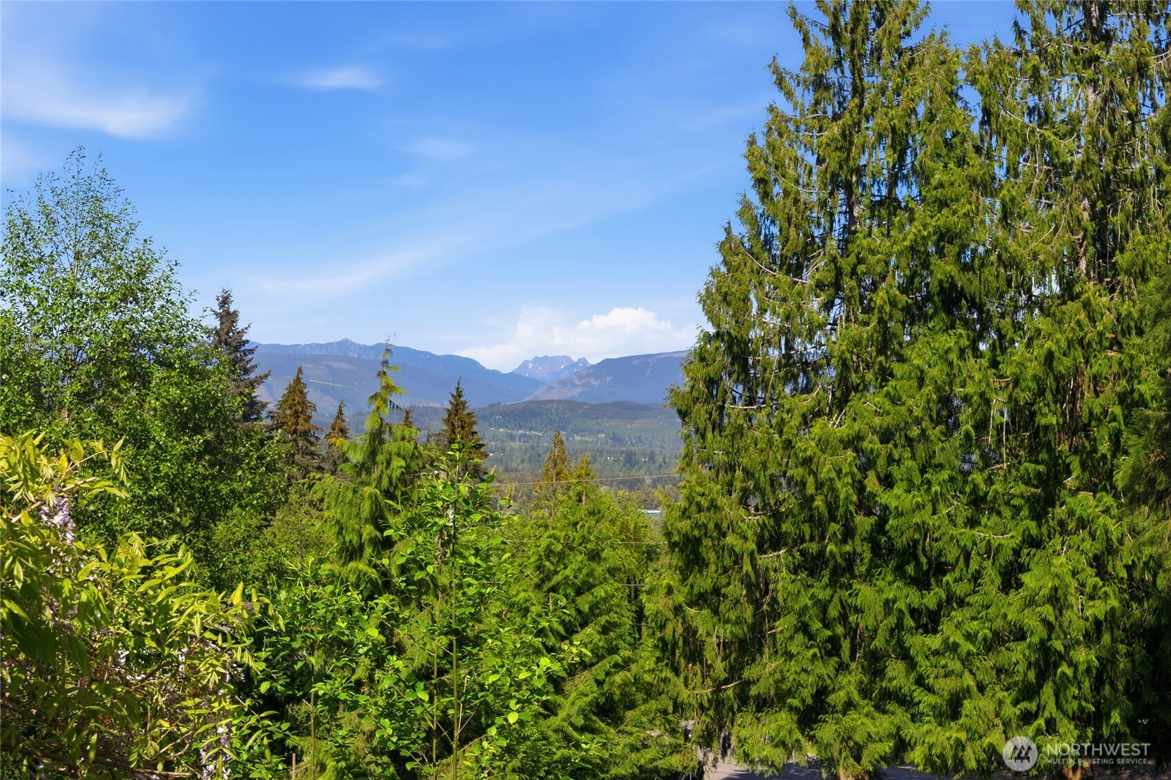 17620 274th Avenue SE, Monroe, WA 98272-9338
