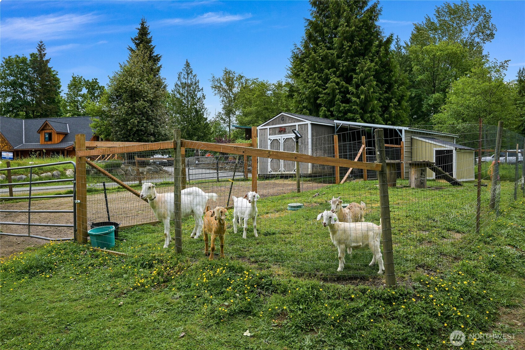 9954 Peace Road , Blaine, WA 98230