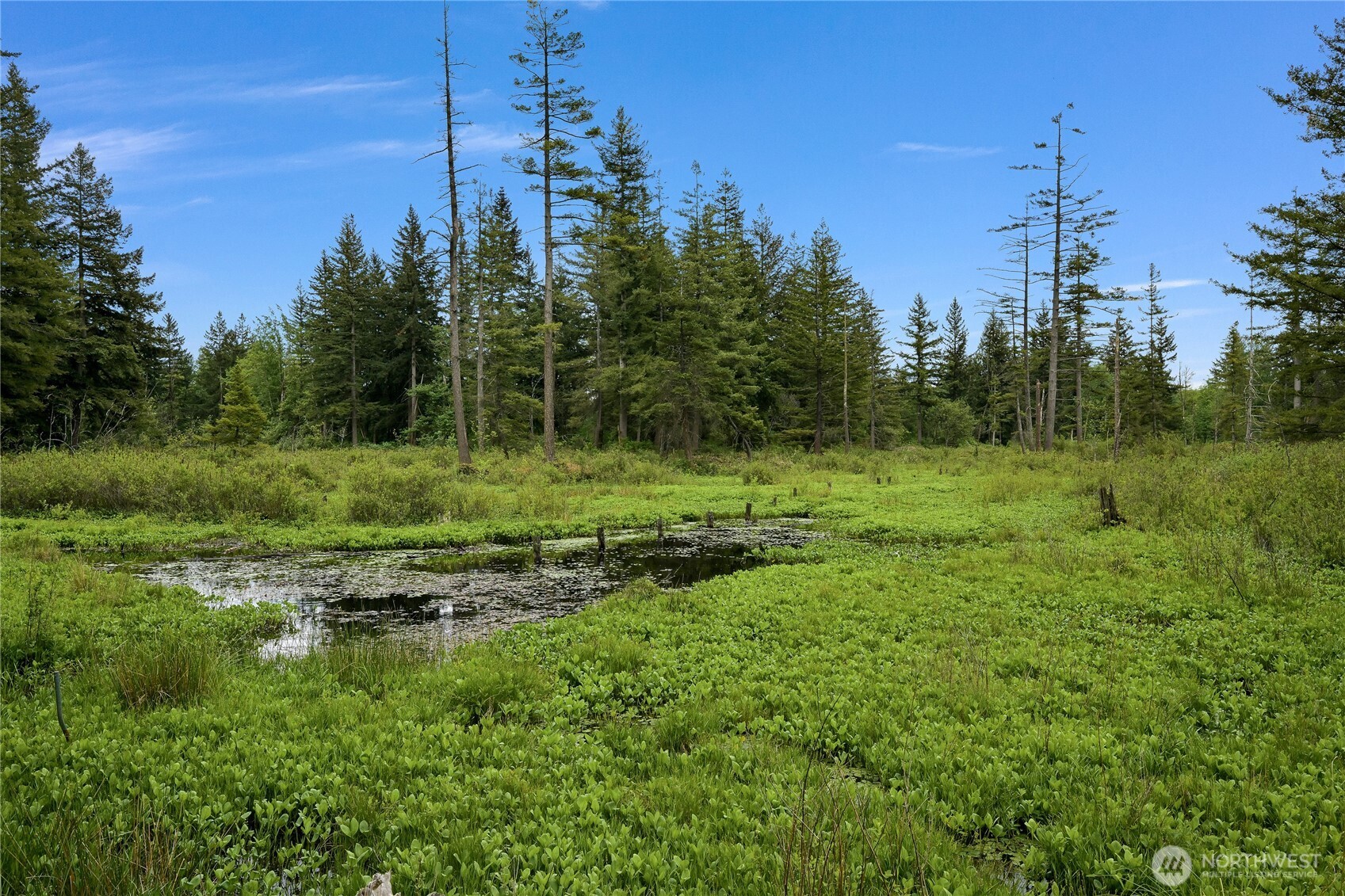 9954 Peace Road , Blaine, WA 98230