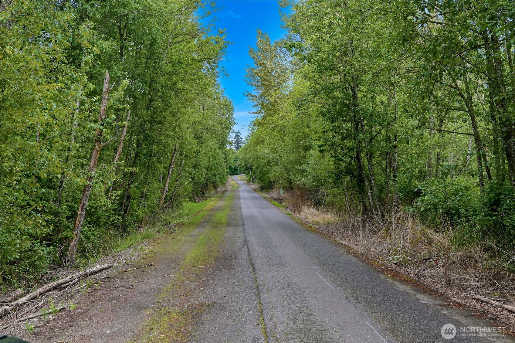 9954 Peace Road , Blaine, WA 98230