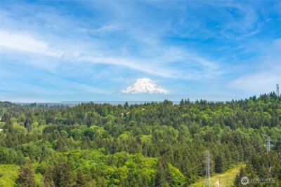 3939 Black Lake Boulevard SW, Tumwater, WA 98512 - Photo 32