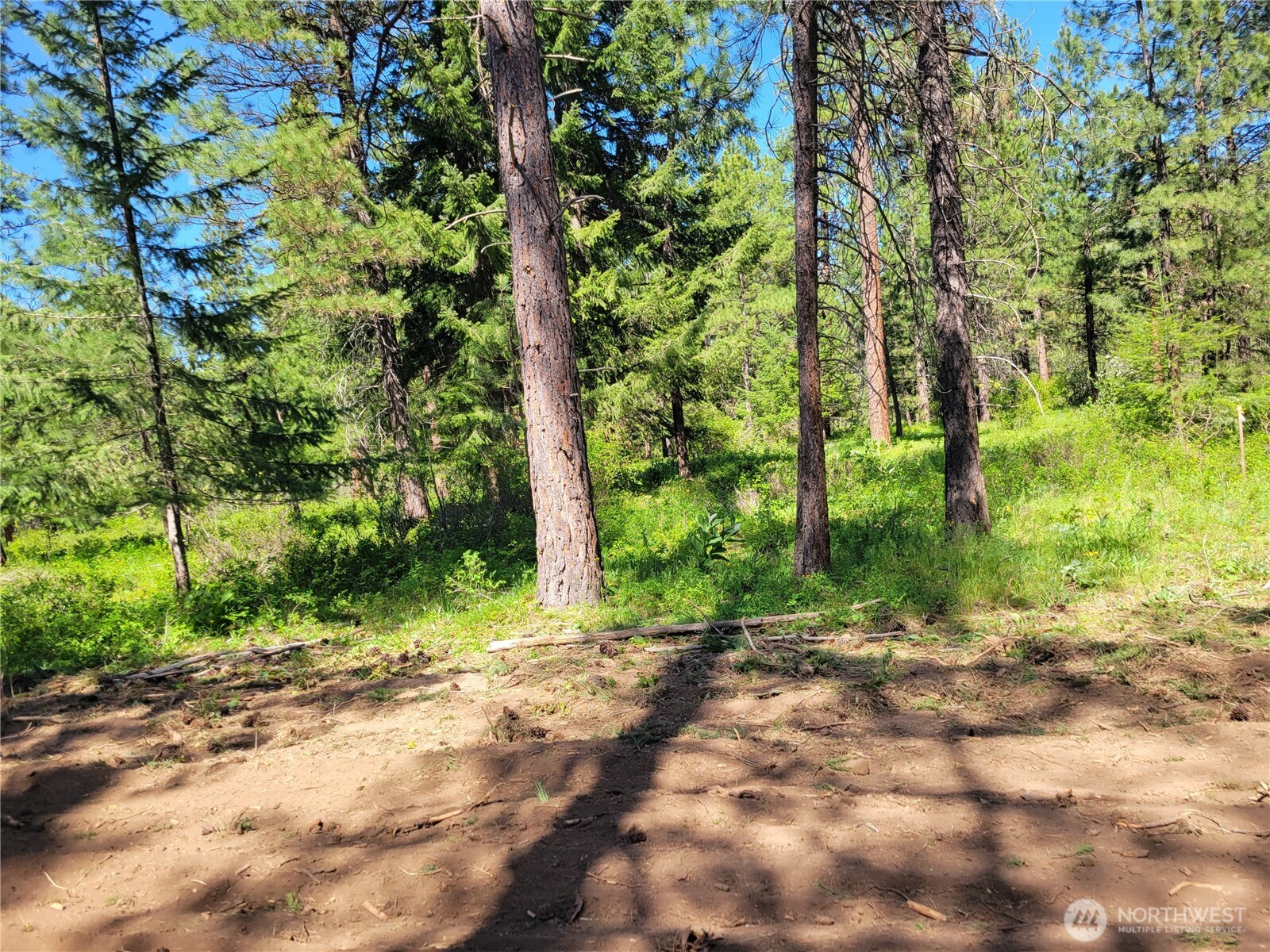 10 Summit View at Wallace Ranch , Cle Elum, WA 98922