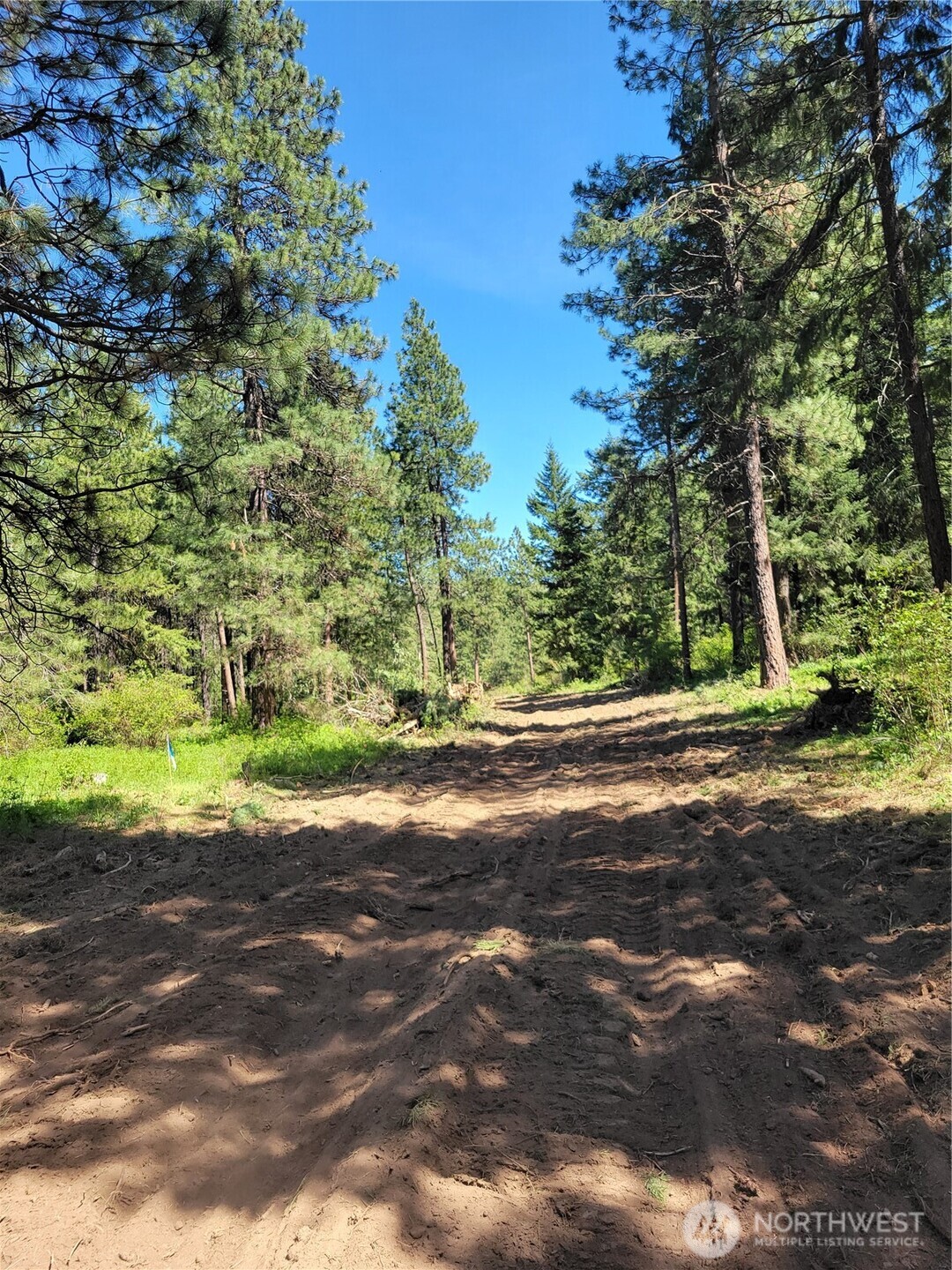 9 Summit View at Wallace Ranch , Cle Elum, WA 98922