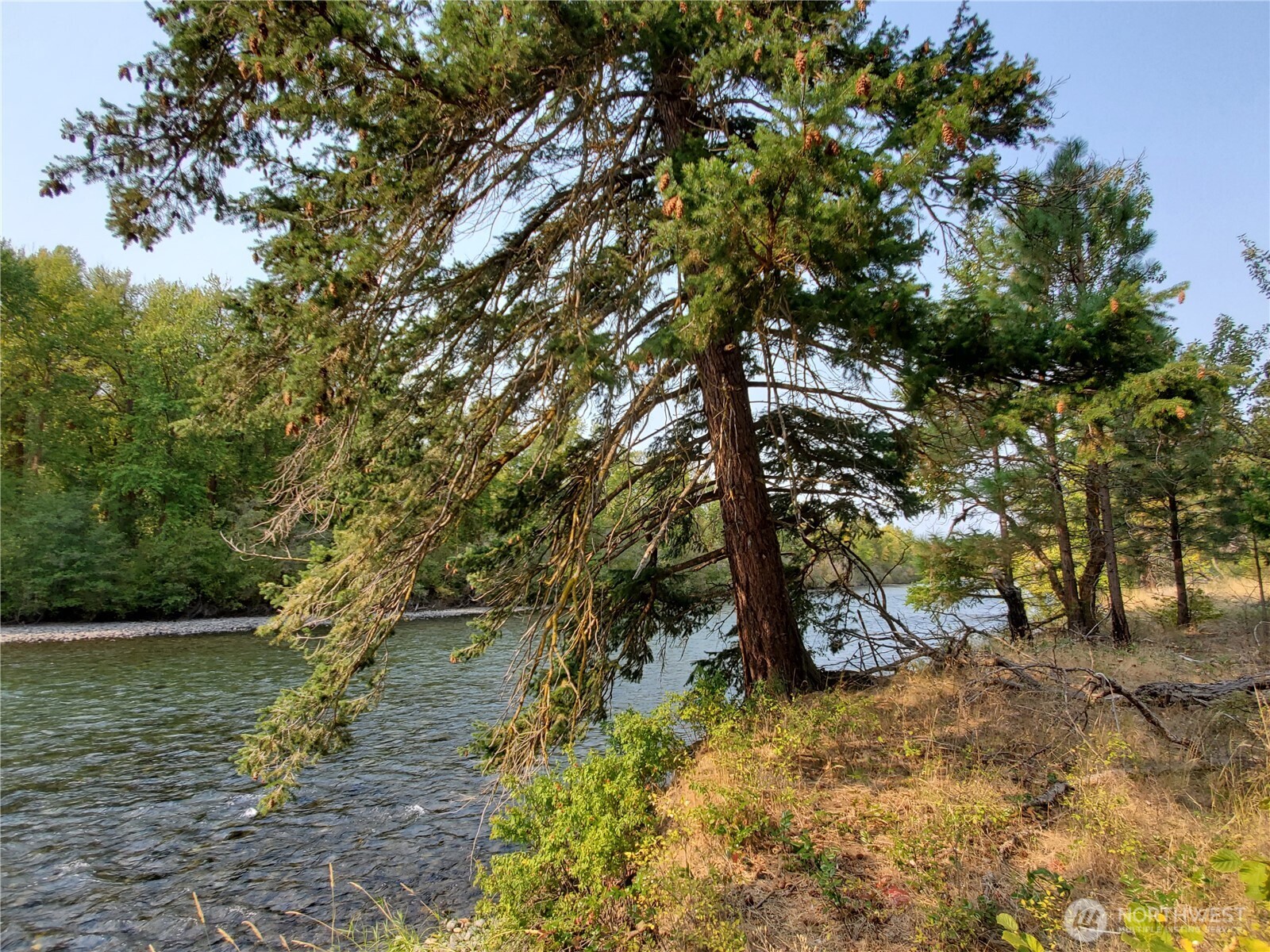 9 Summit View at Wallace Ranch , Cle Elum, WA 98922