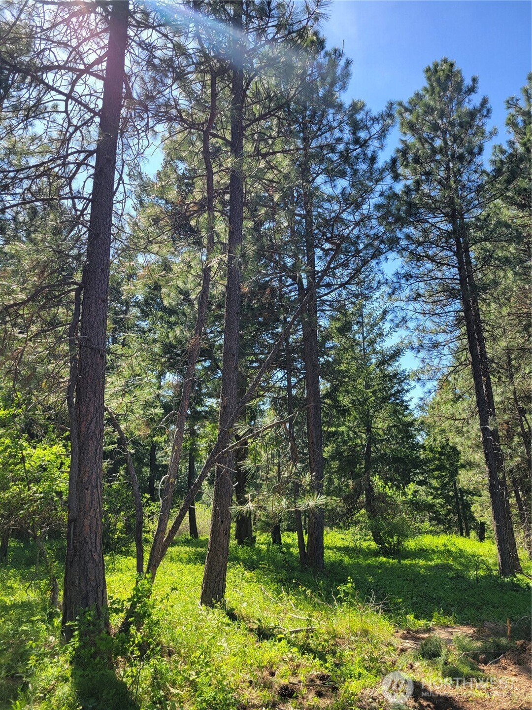 9 Summit View at Wallace Ranch , Cle Elum, WA 98922