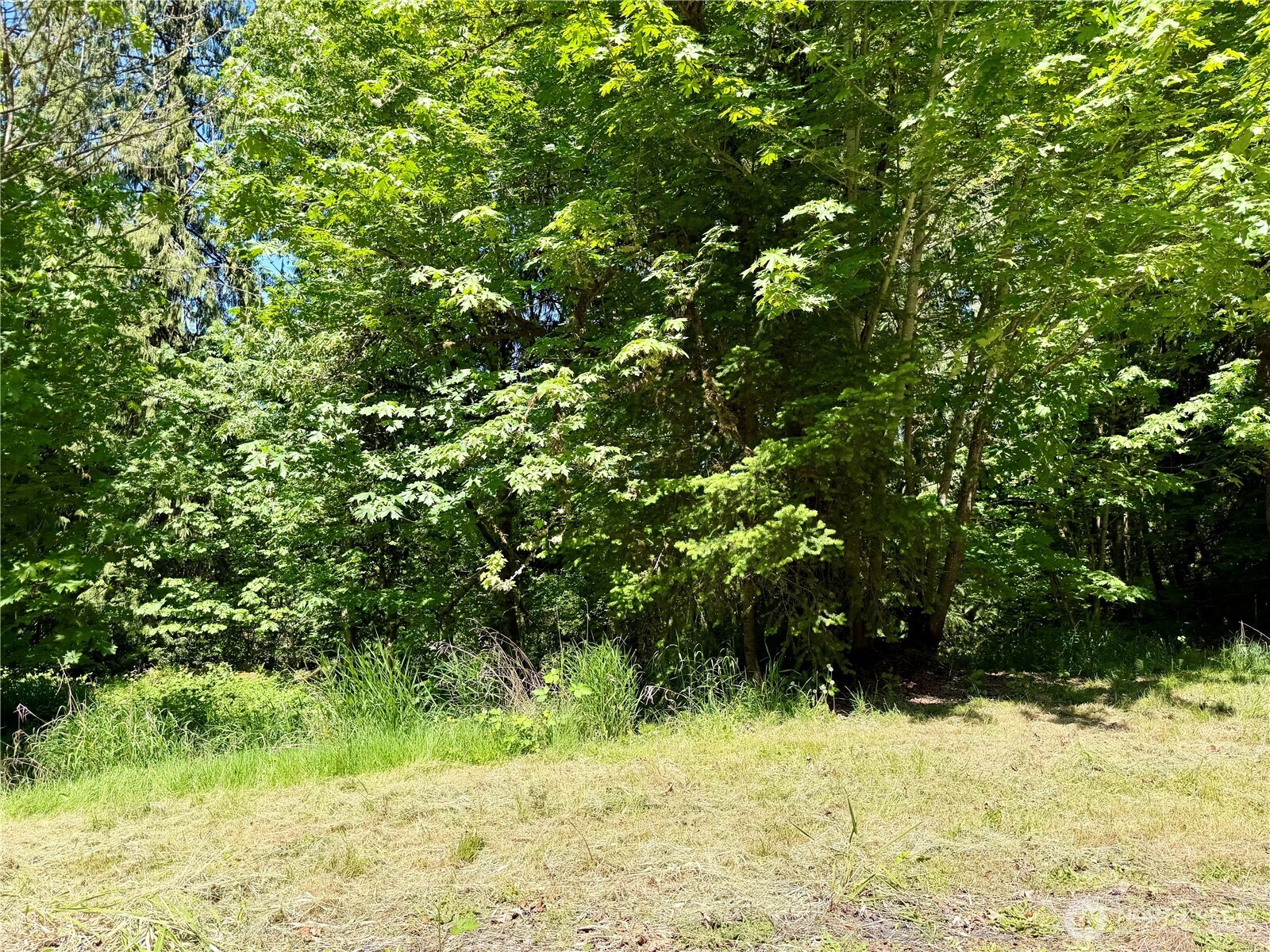 190 Jackson Highway S, Toledo, WA 98591