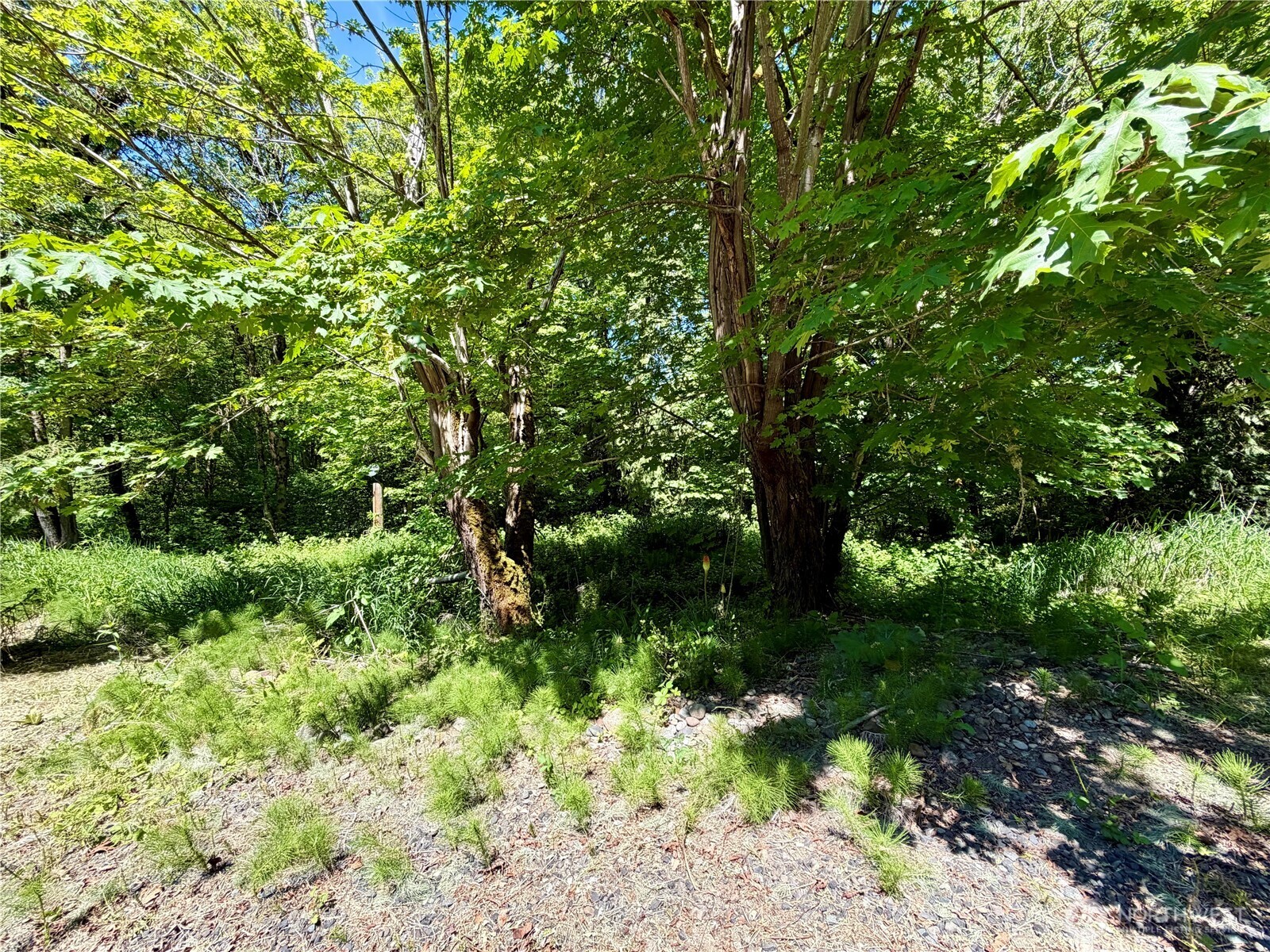190 Jackson Highway S, Toledo, WA 98591