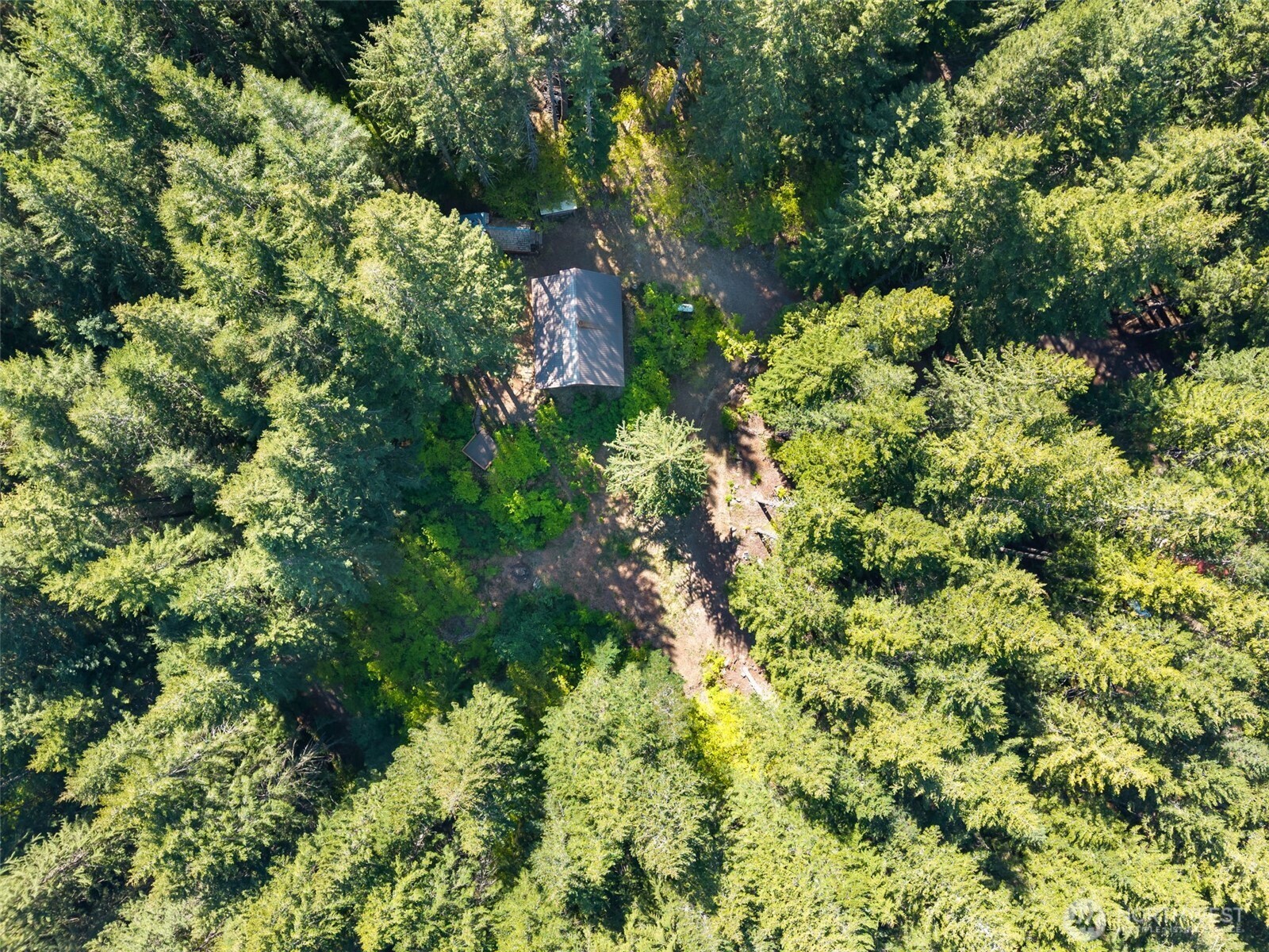 2500 4 Peaks Drive , Cougar, WA 98616