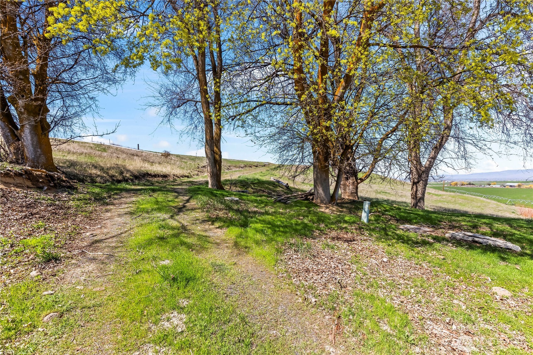 1 Rolling Hill Drive , Ellensburg, WA 98926