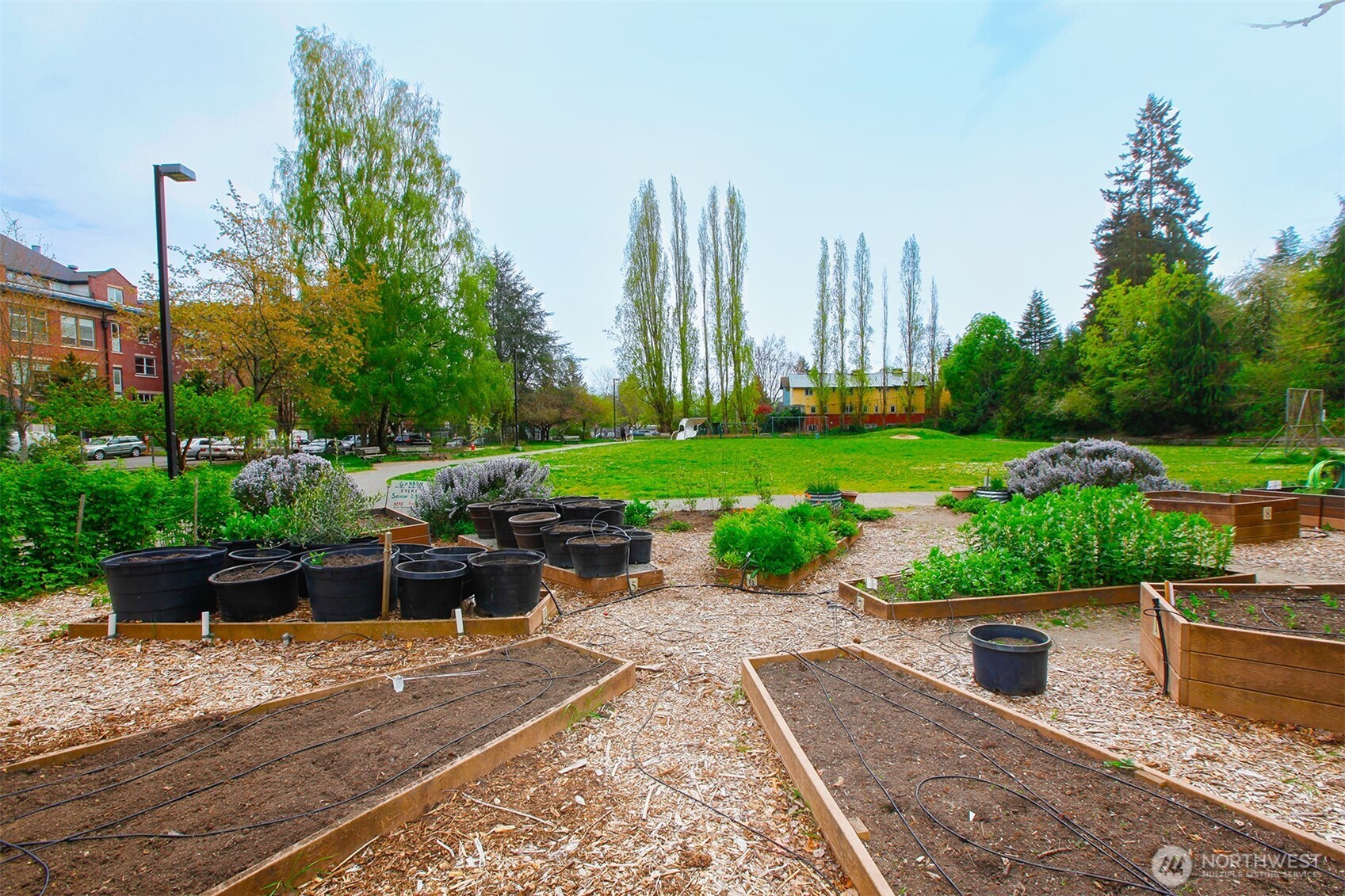 6525 23rd Avenue NE, Seattle, WA 98115