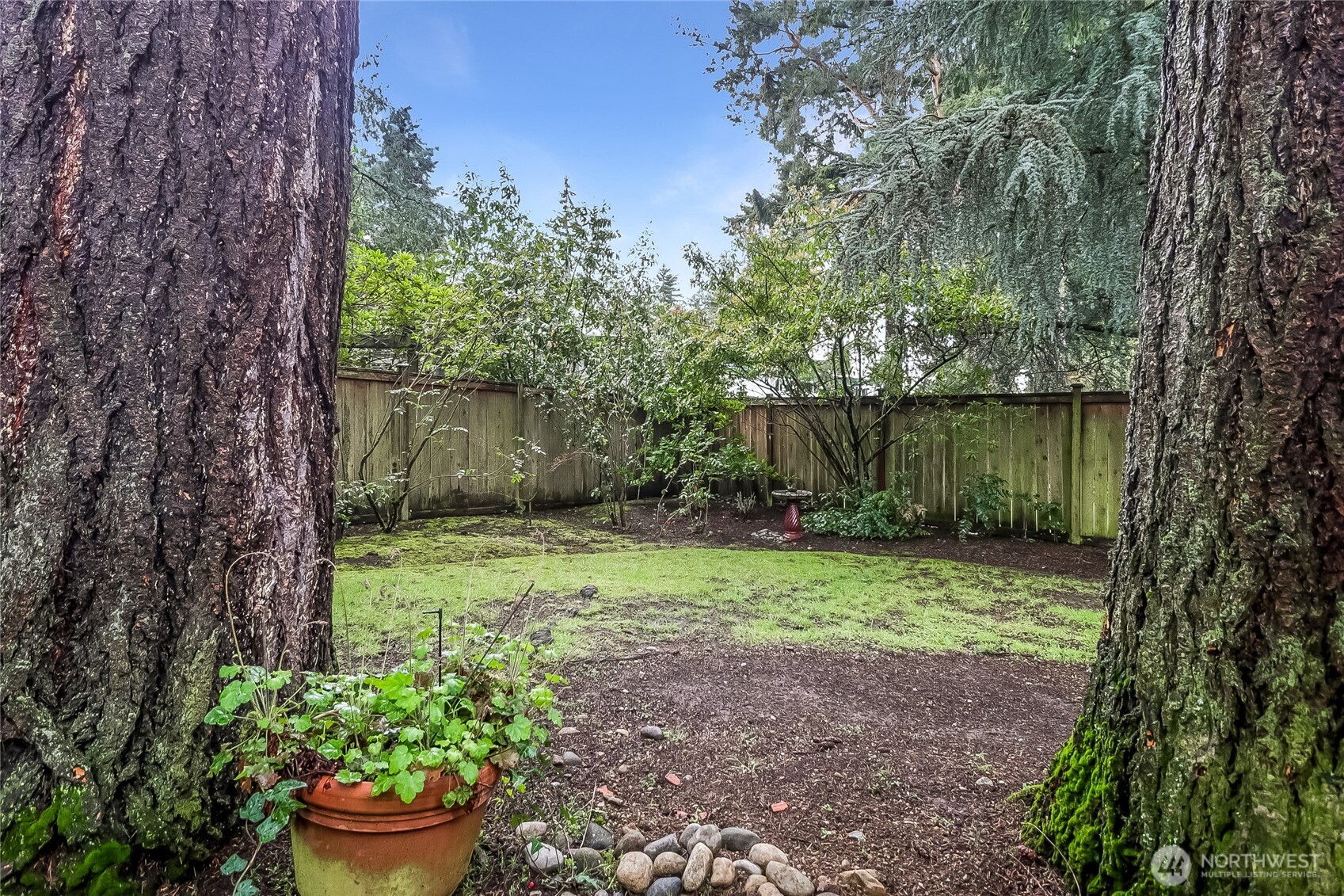 12647 SE 54th Street , Bellevue, WA 98006
