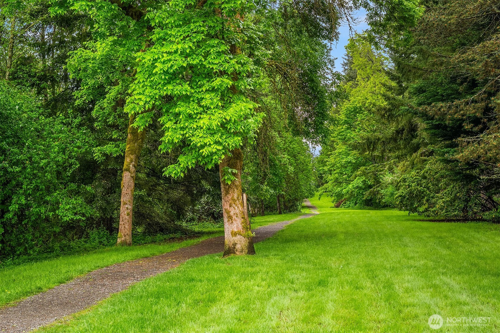 24346 SE 43rd Place , Sammamish, WA 98029